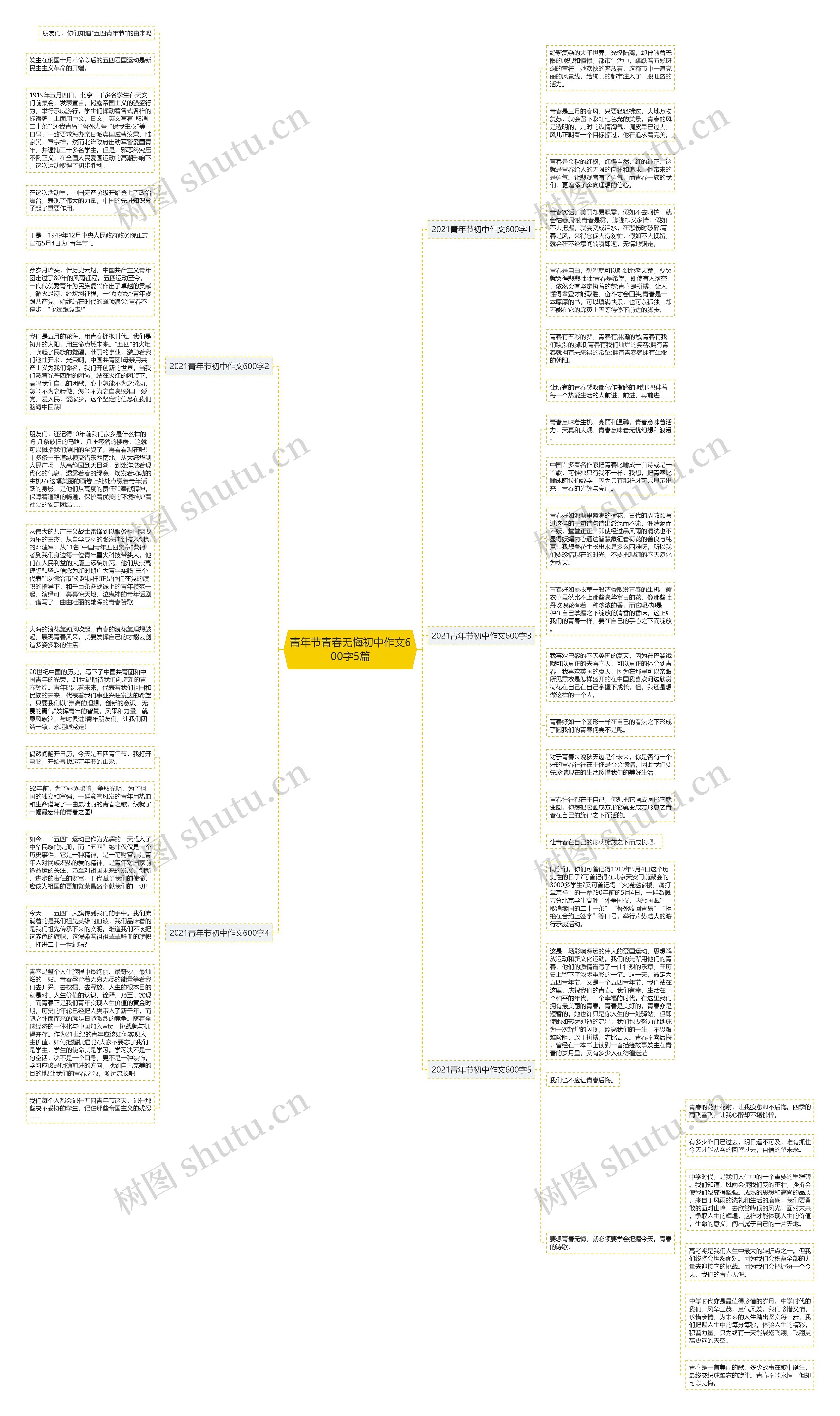 青年节青春无悔初中作文600字5篇思维导图