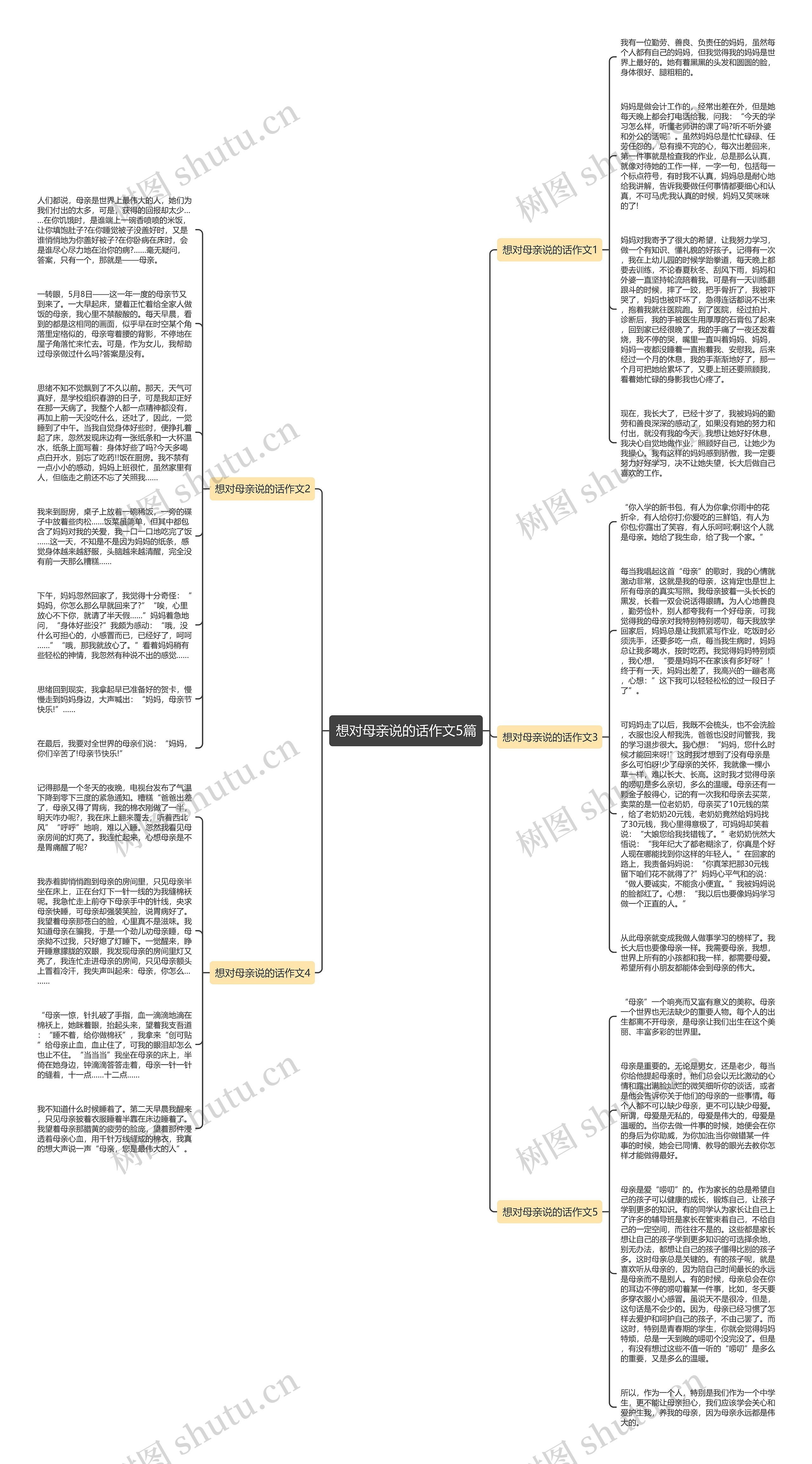 想对母亲说的话作文5篇思维导图