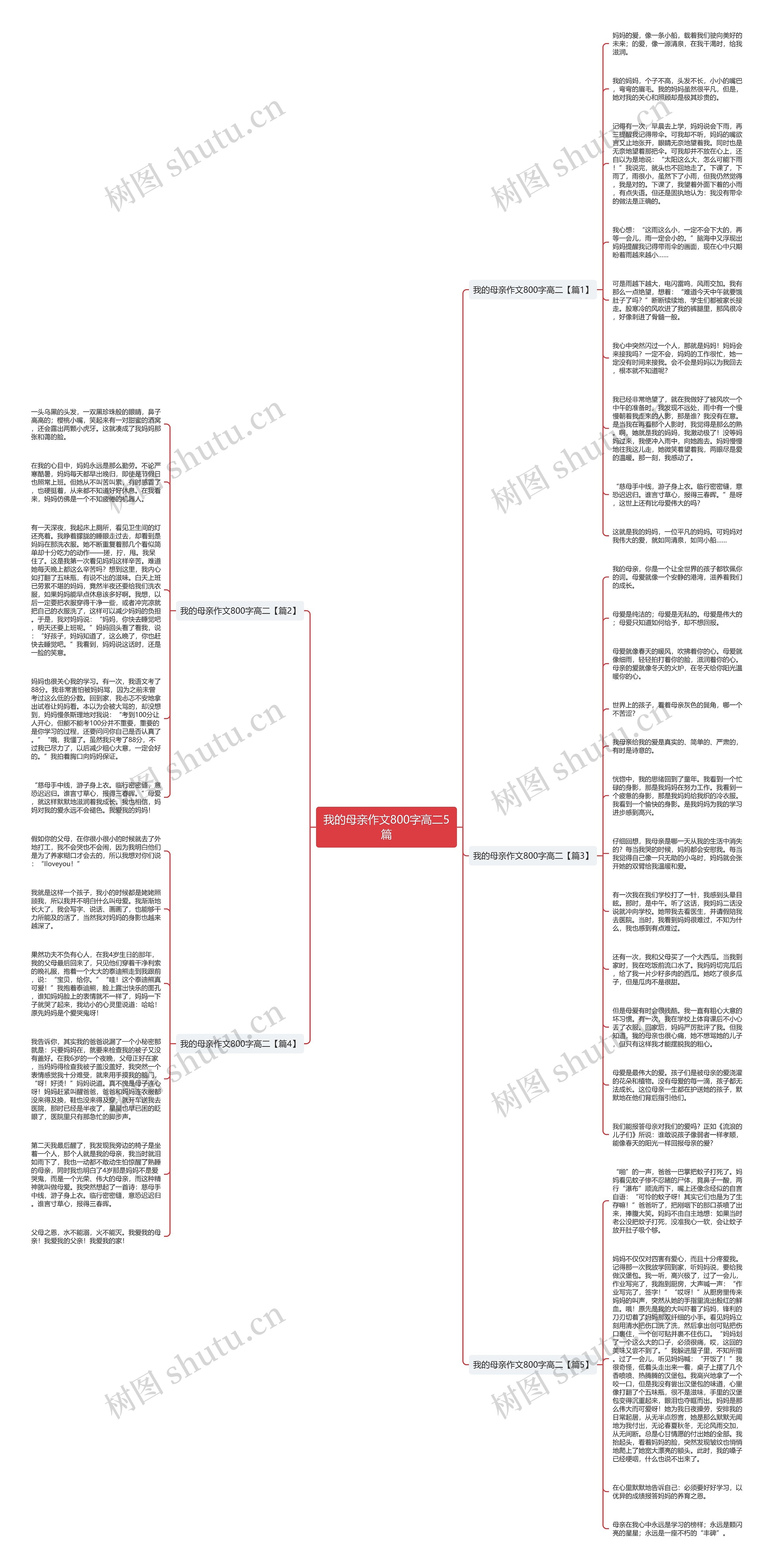 我的母亲作文800字高二5篇思维导图
