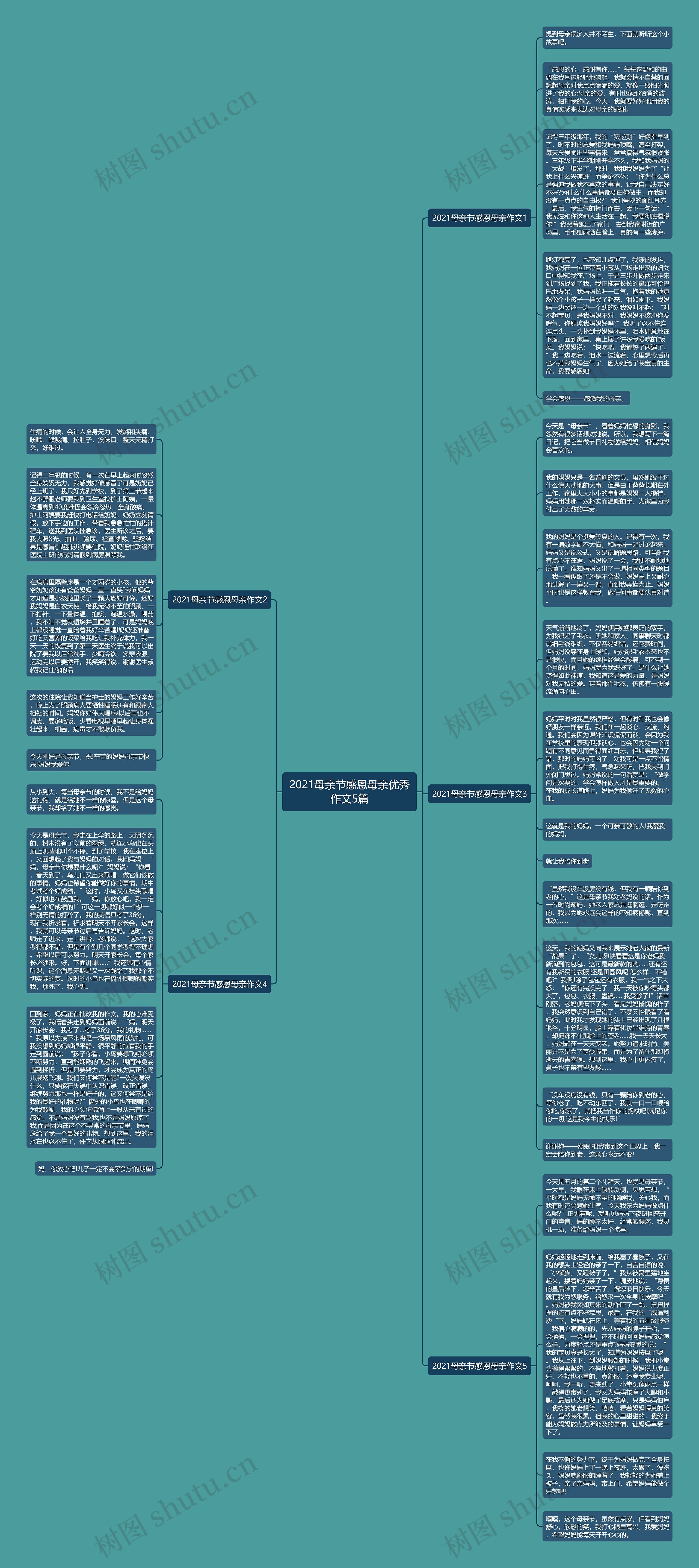 2021母亲节感恩母亲优秀作文5篇思维导图