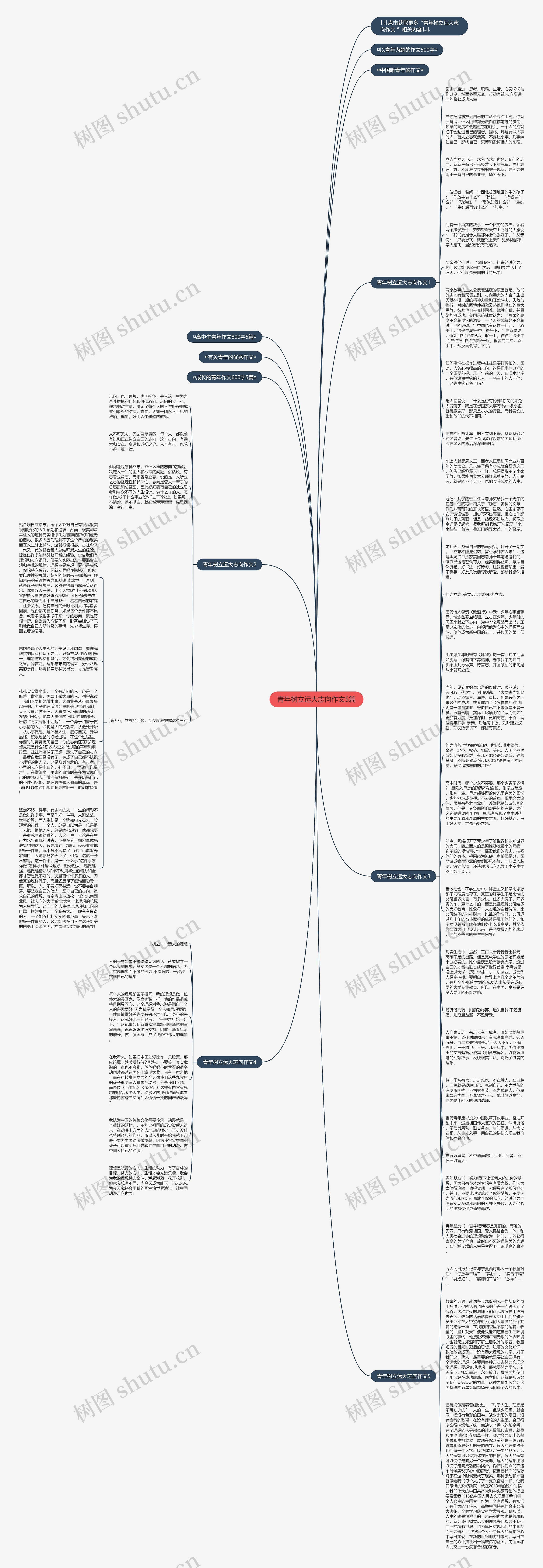 青年树立远大志向作文5篇思维导图