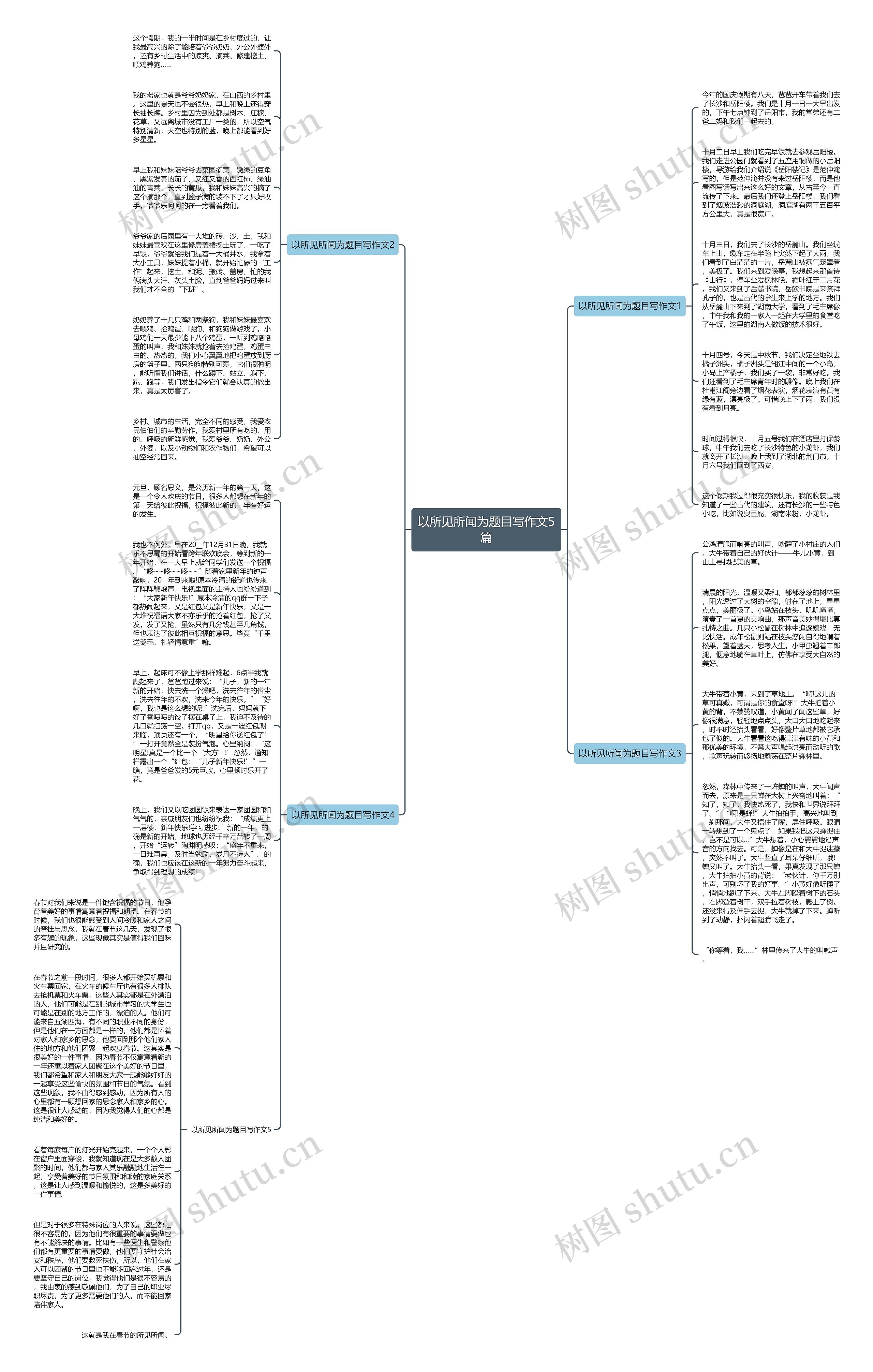 以所见所闻为题目写作文5篇思维导图