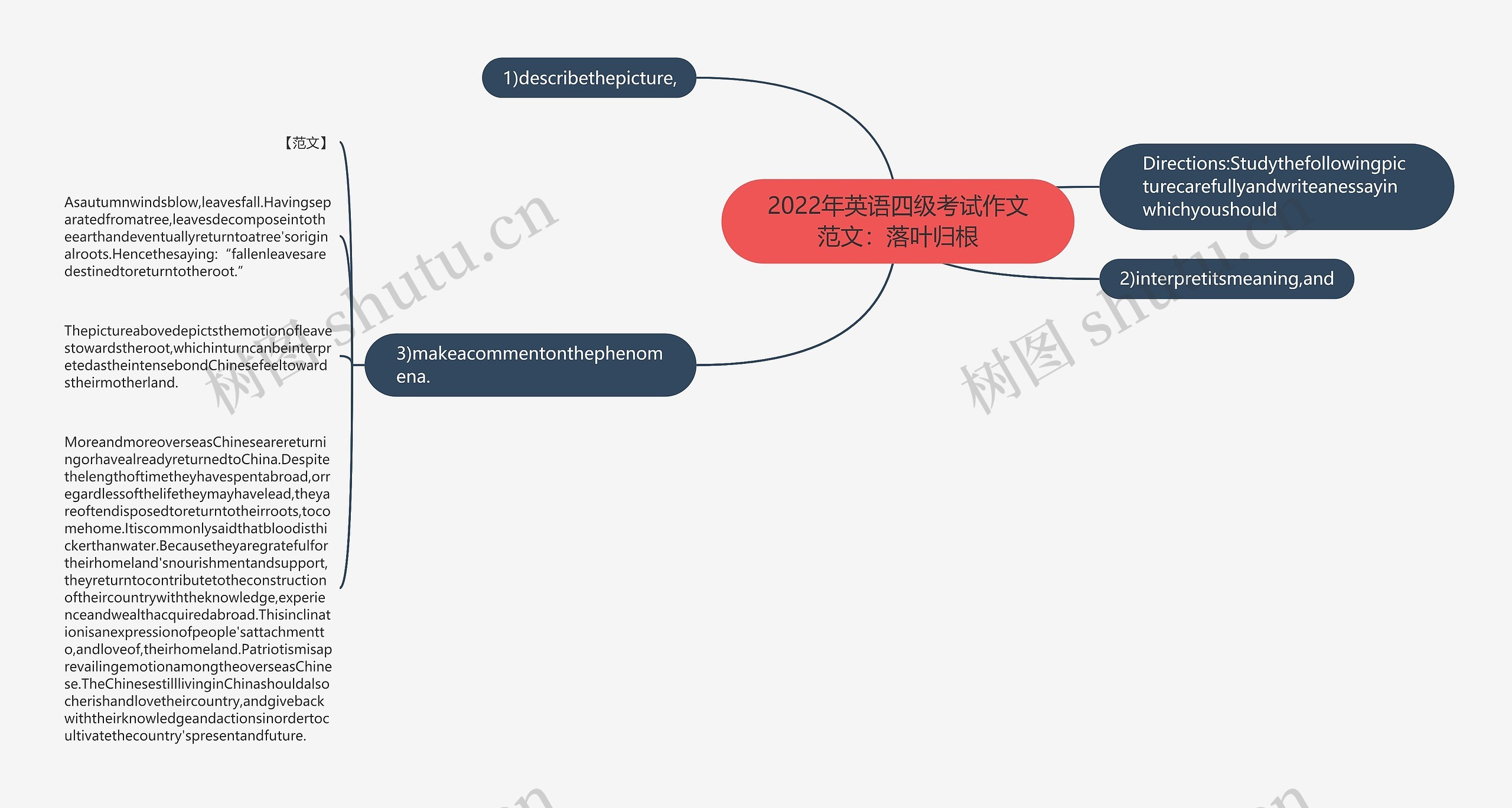 2022年英语四级考试作文范文：落叶归根思维导图