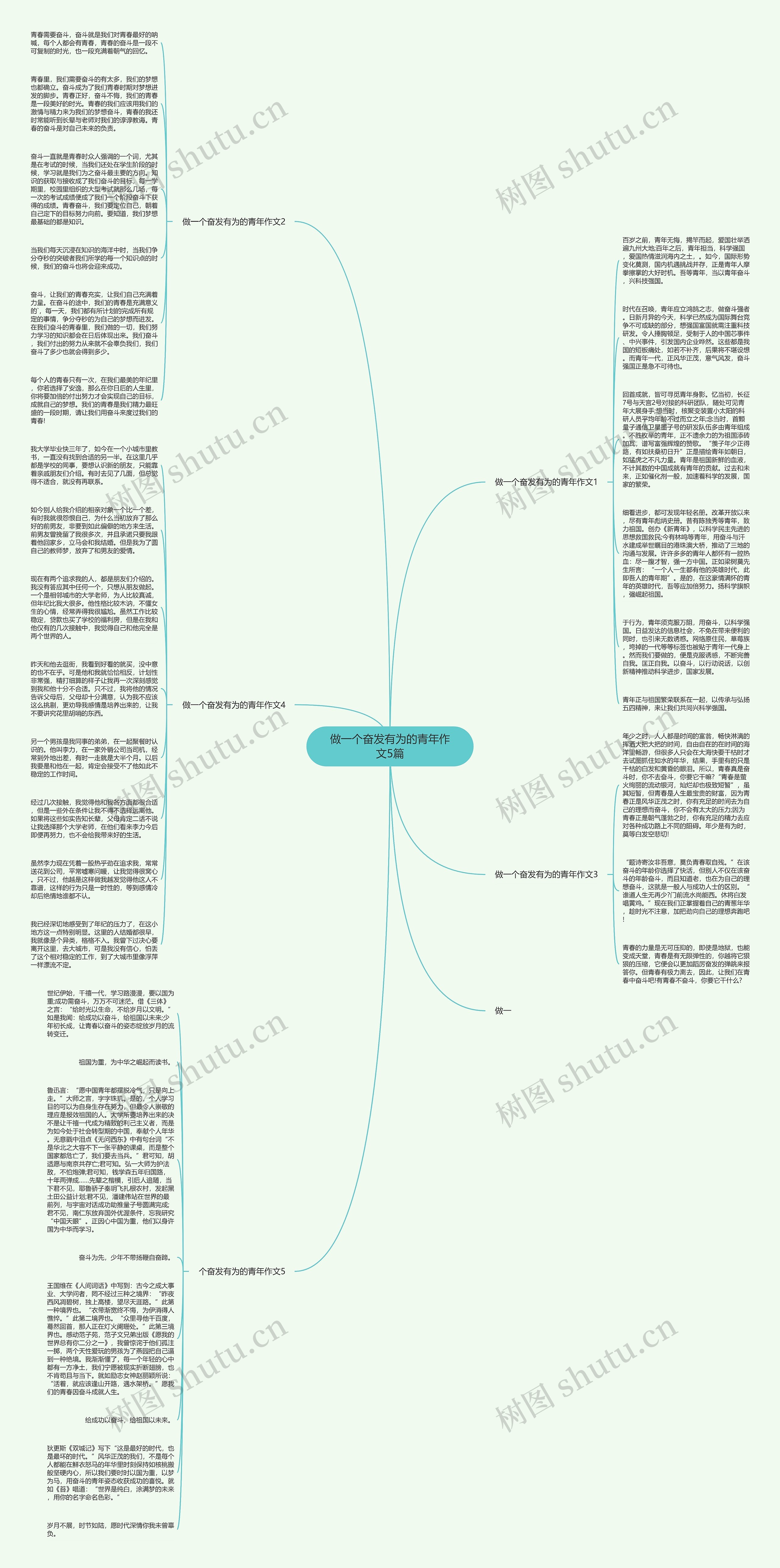 做一个奋发有为的青年作文5篇思维导图