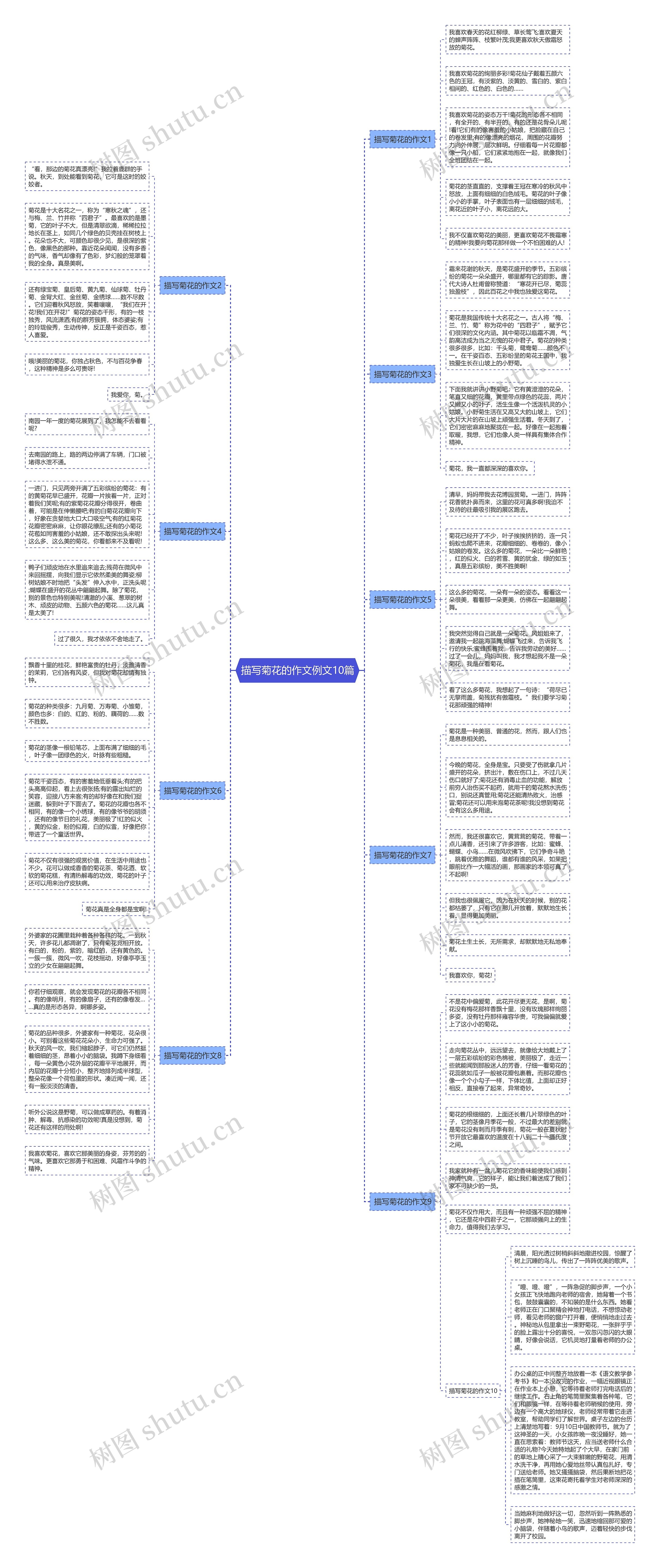 描写菊花的作文例文10篇思维导图