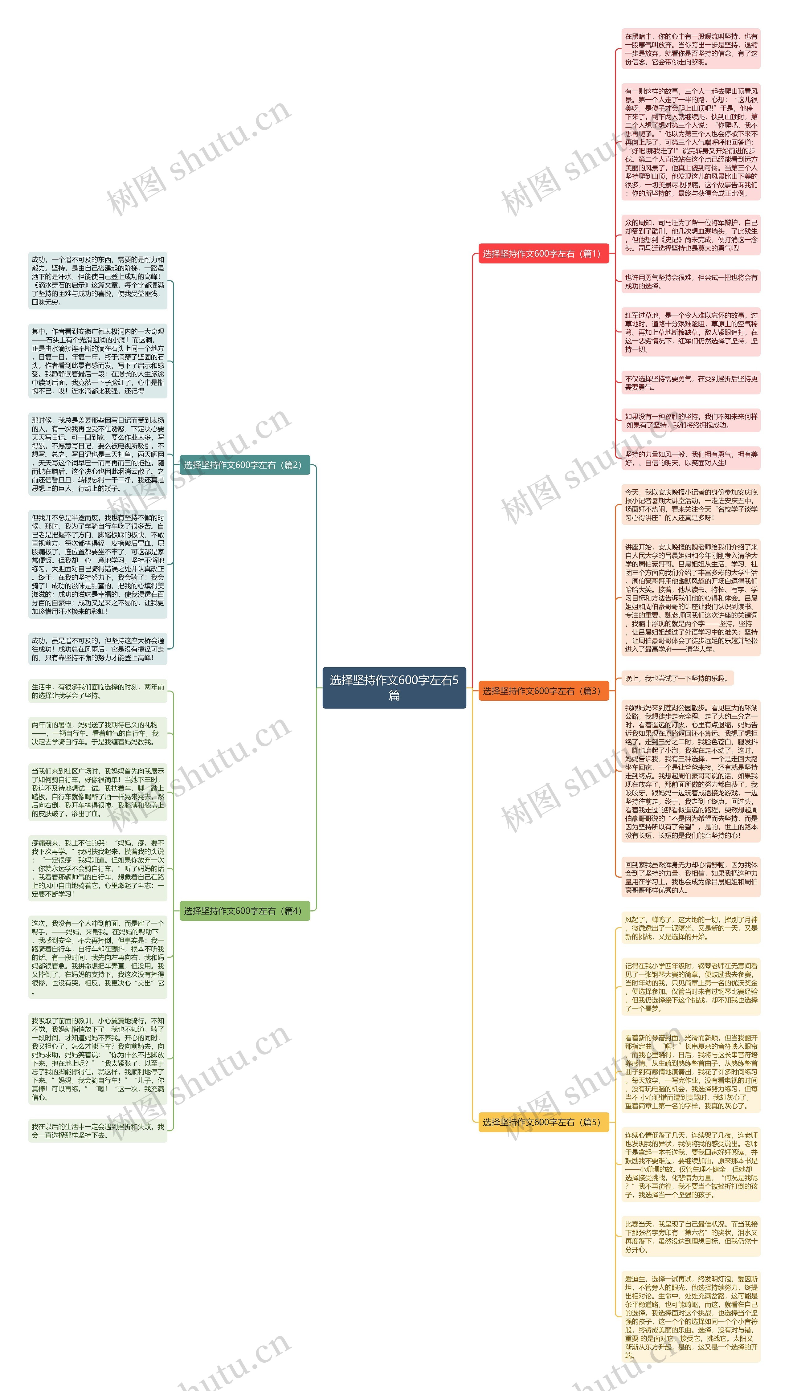 选择坚持作文600字左右5篇思维导图