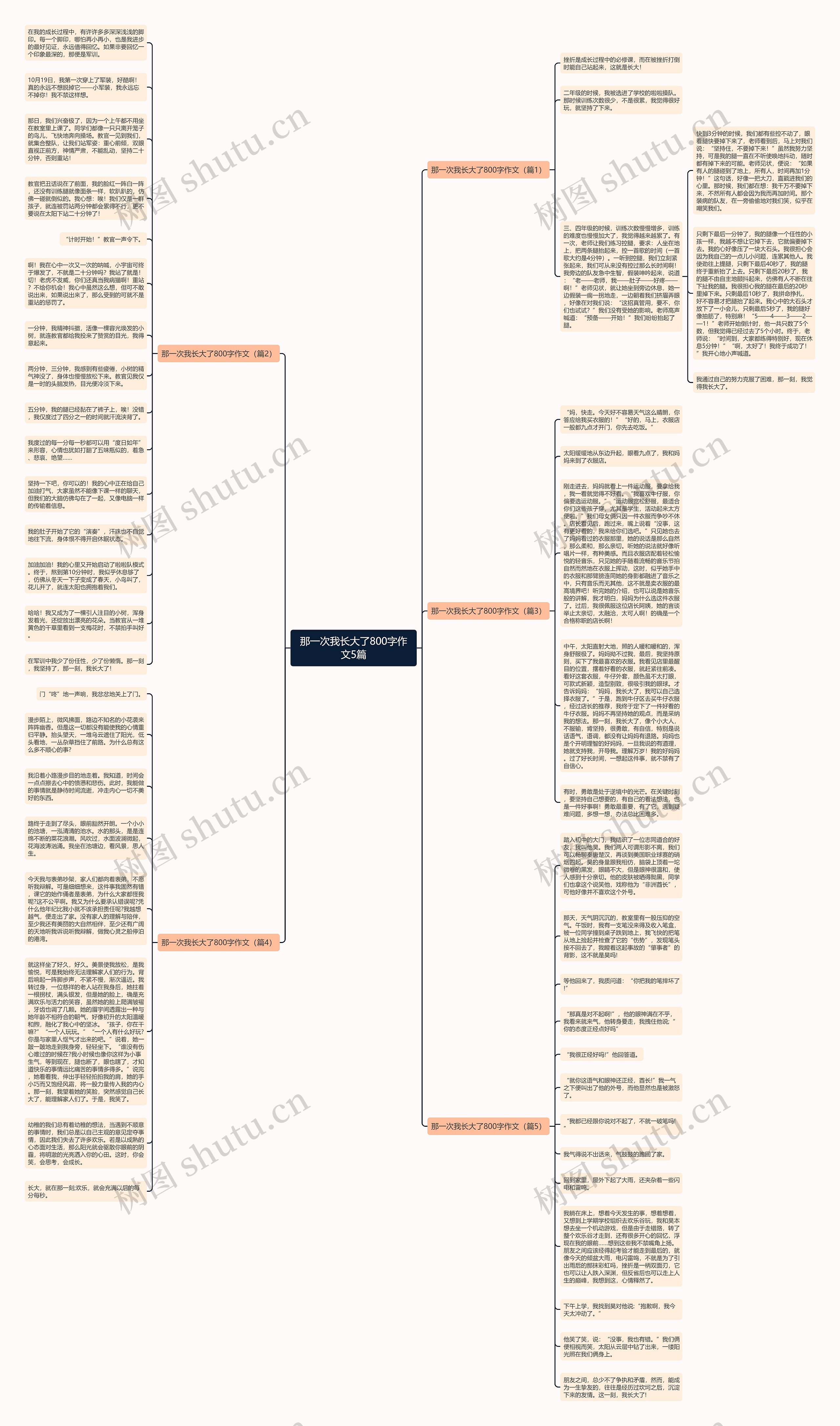那一次我长大了800字作文5篇思维导图
