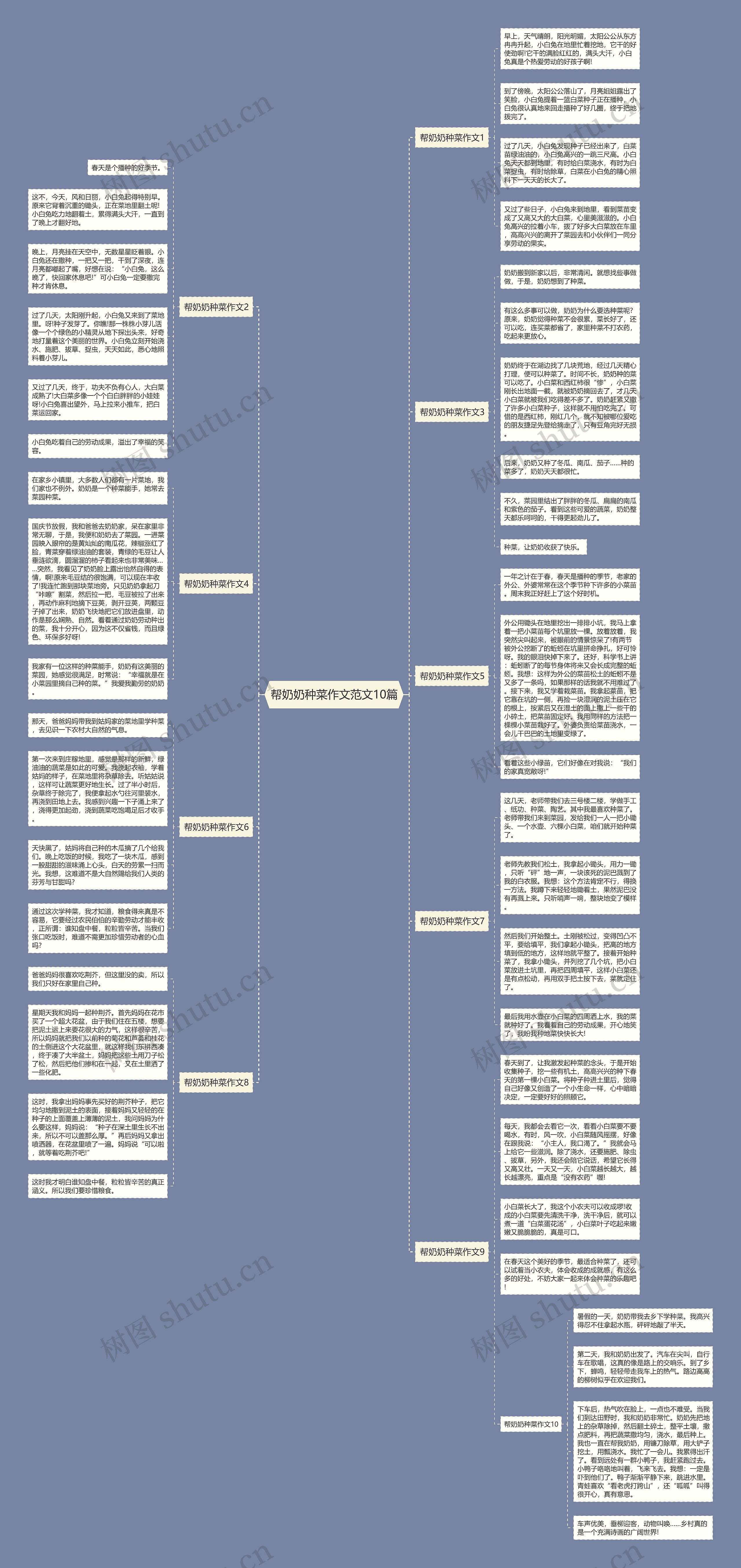 帮奶奶种菜作文范文10篇思维导图