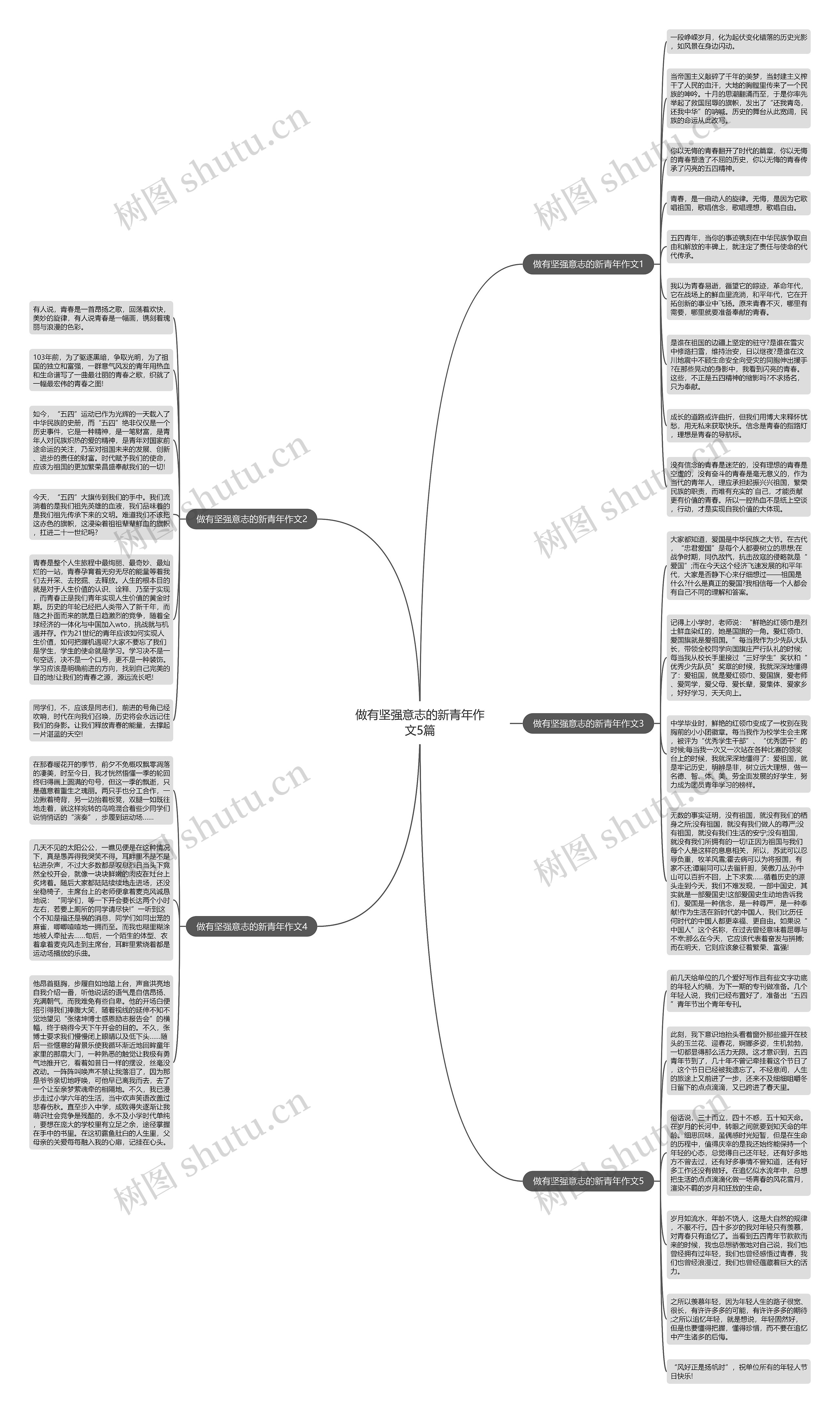 做有坚强意志的新青年作文5篇思维导图