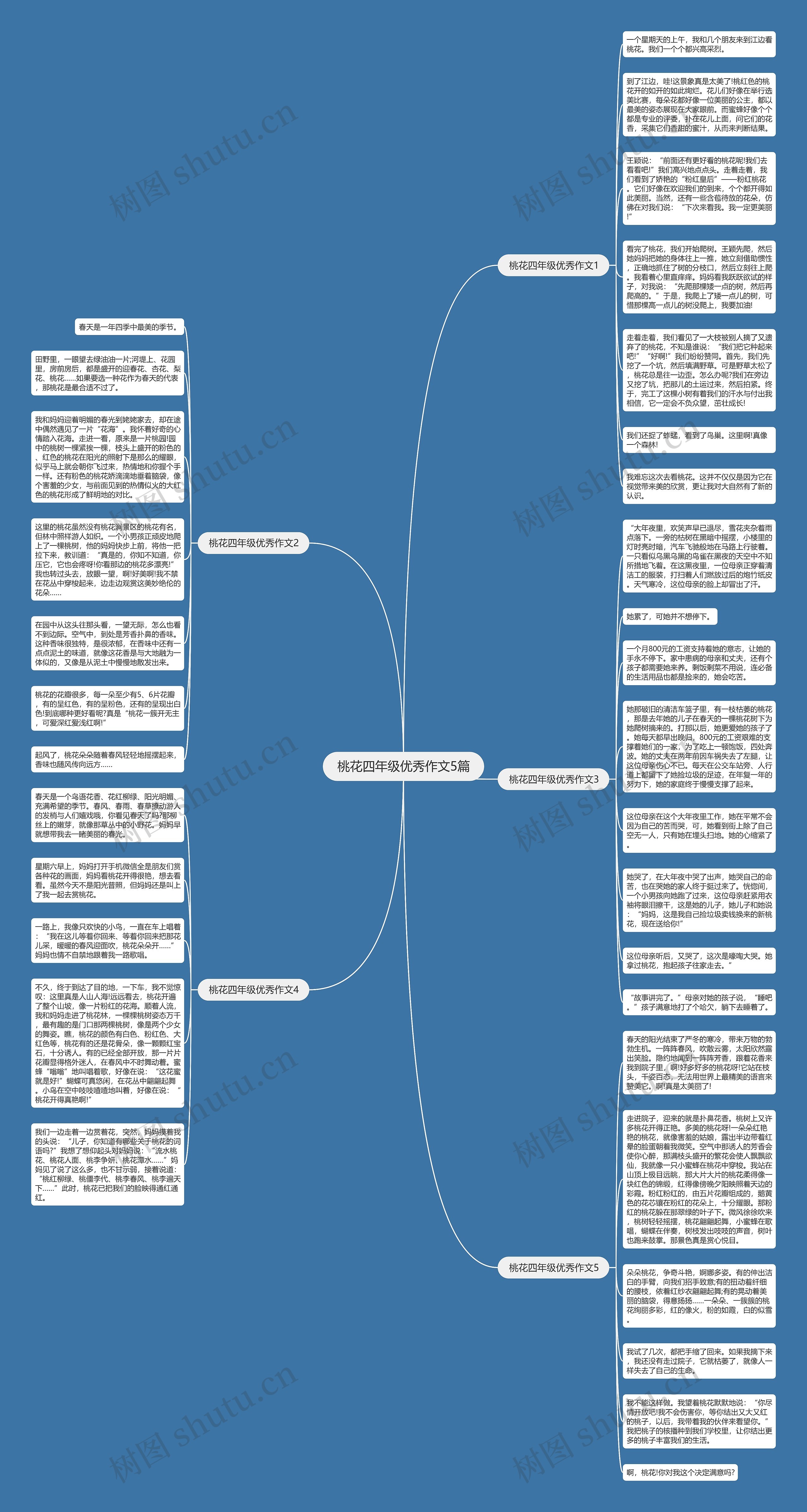 桃花四年级优秀作文5篇思维导图