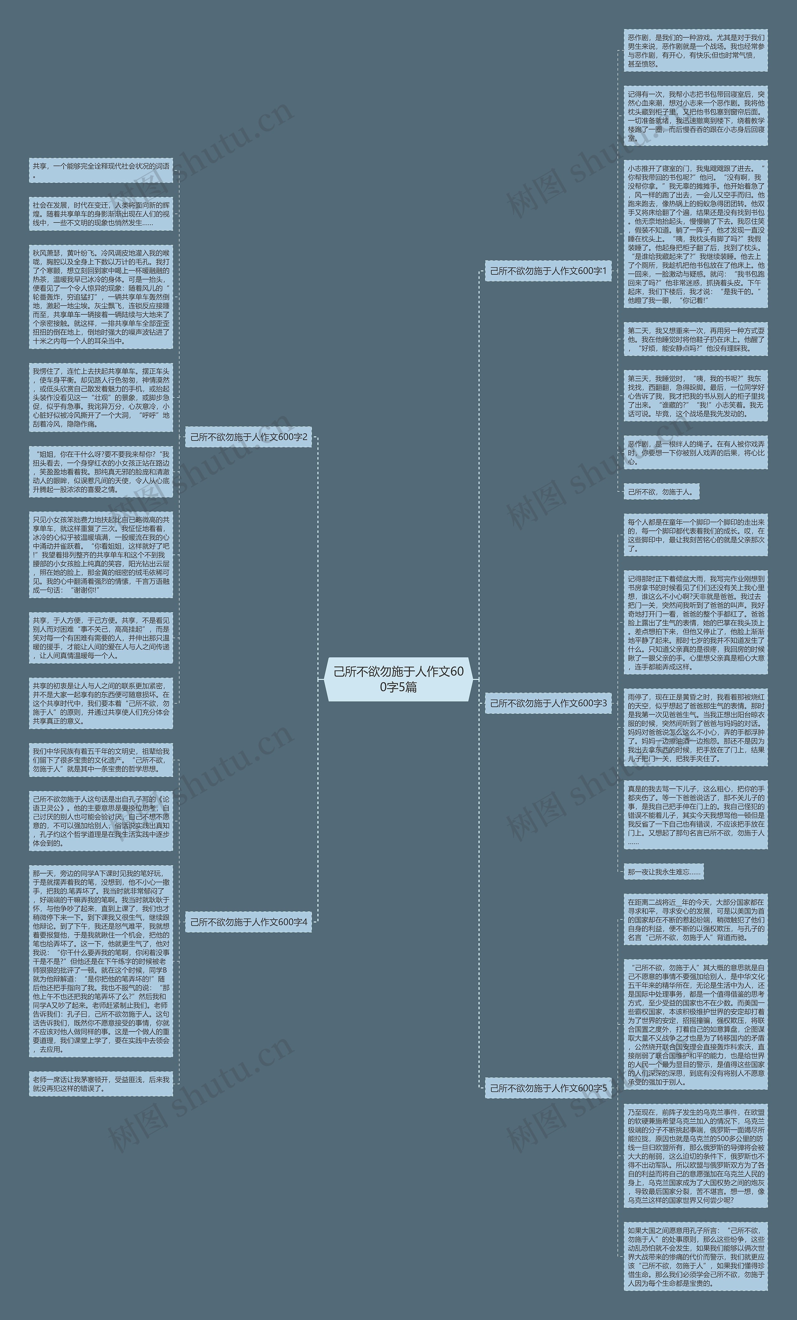 己所不欲勿施于人作文600字5篇思维导图