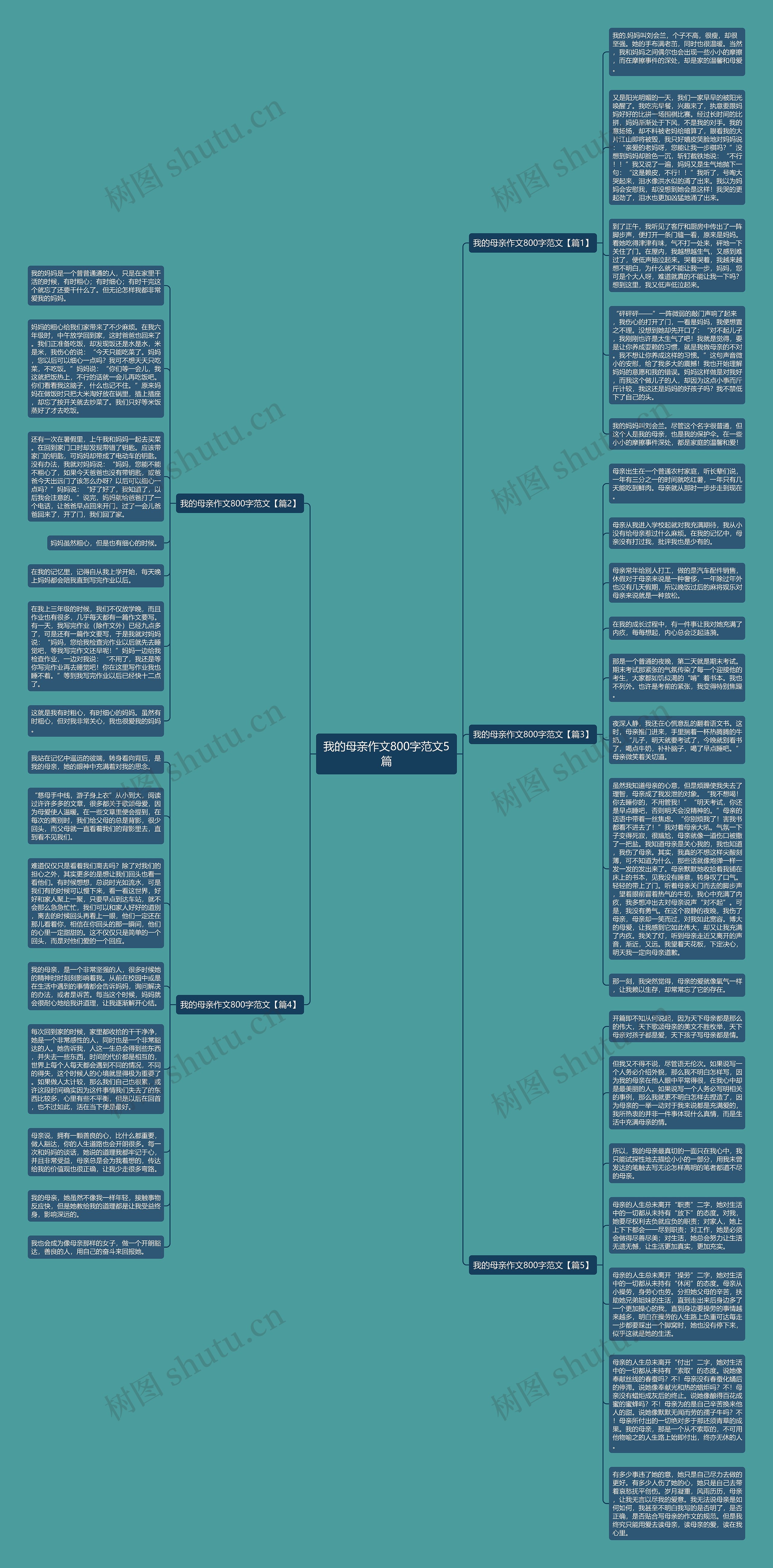 我的母亲作文800字范文5篇