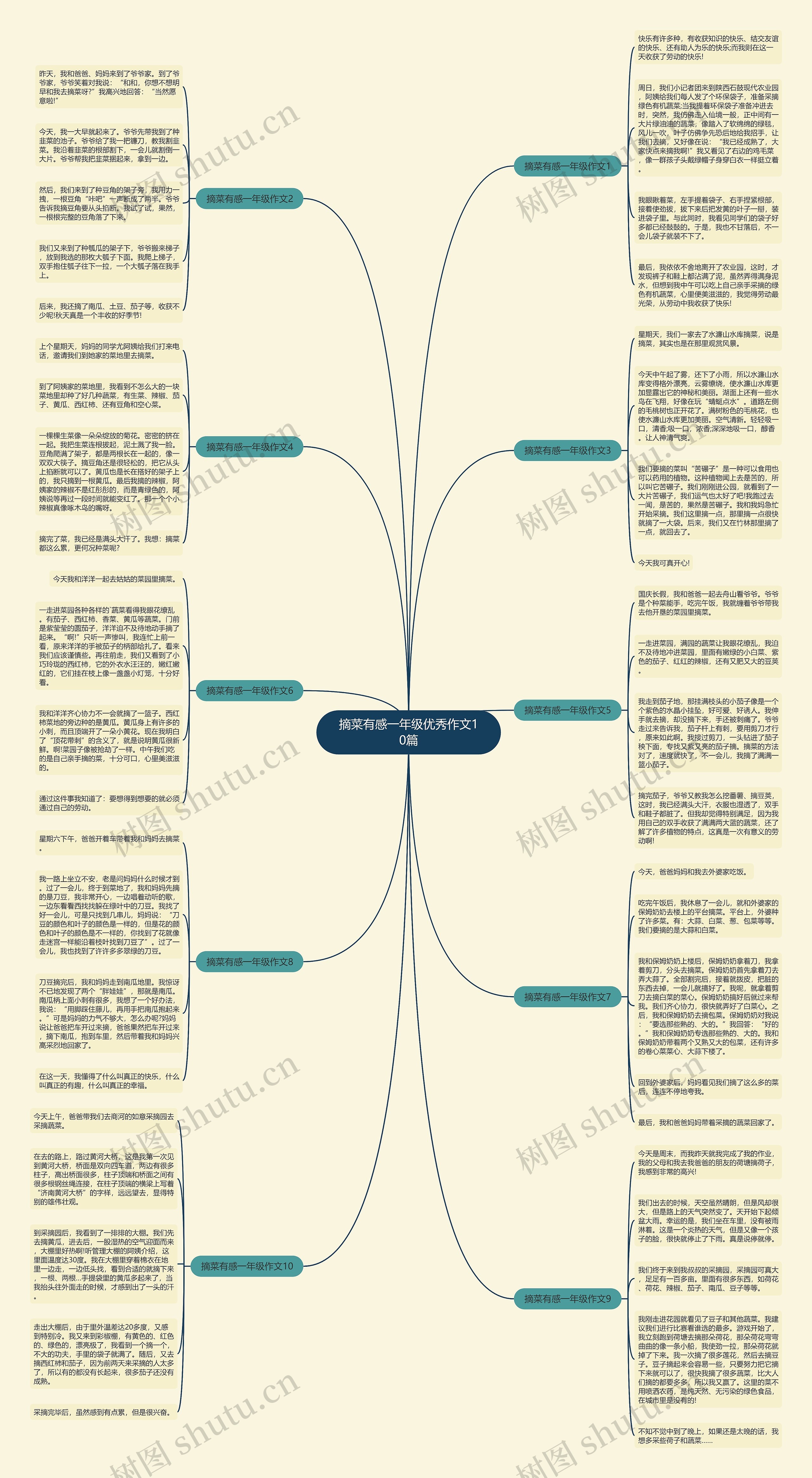 摘菜有感一年级优秀作文10篇思维导图