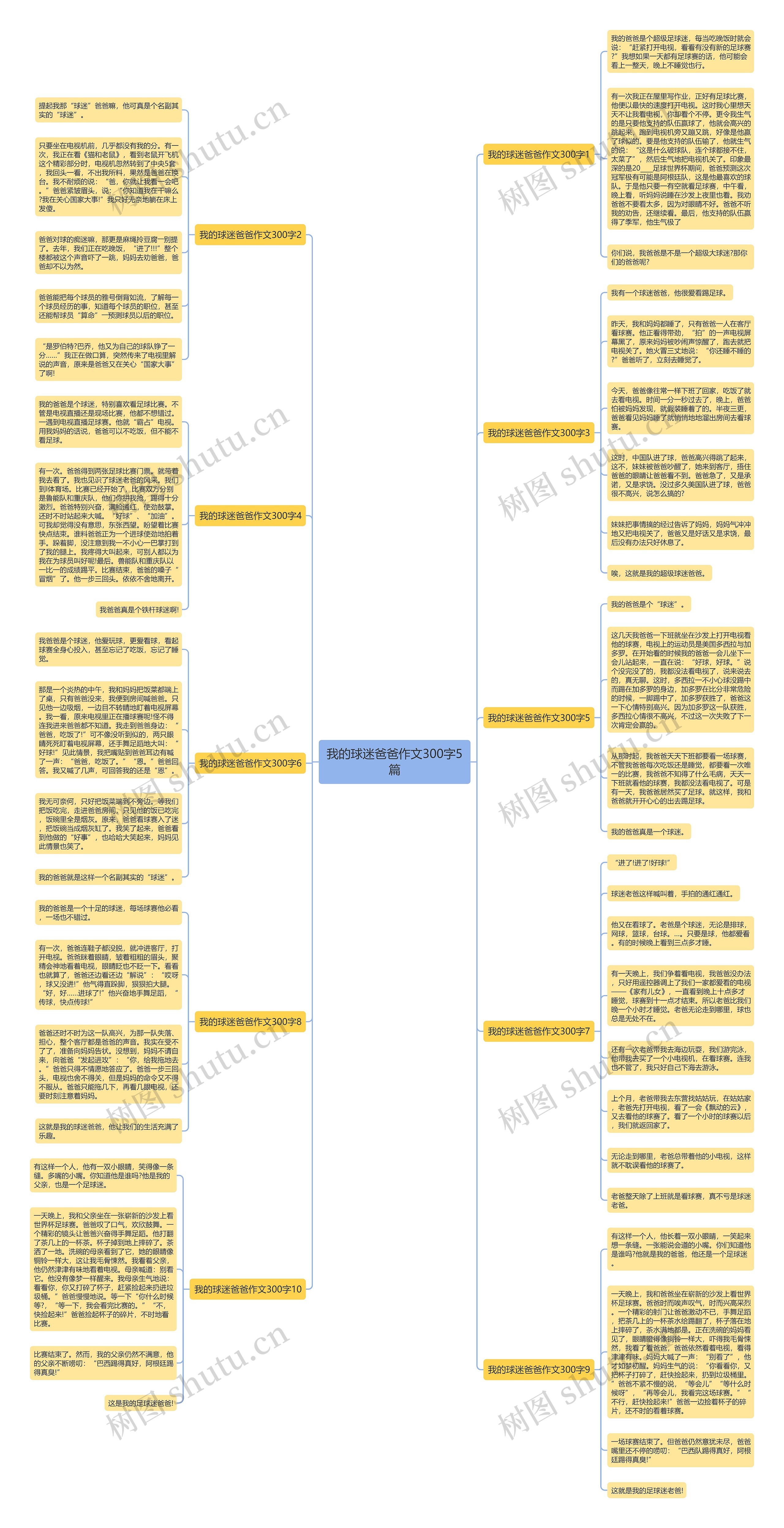 我的球迷爸爸作文300字5篇思维导图