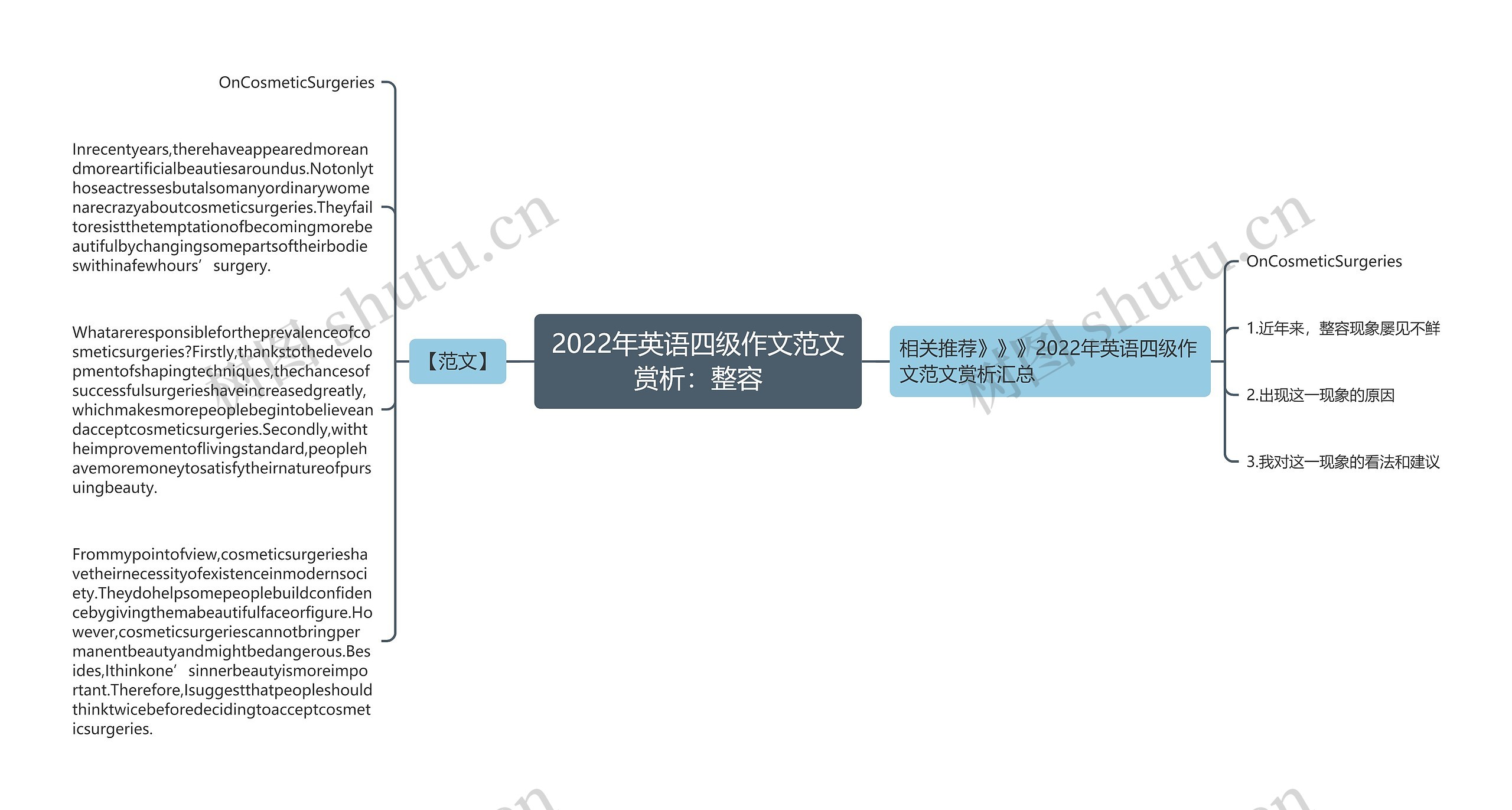 2022年英语四级作文范文赏析：整容