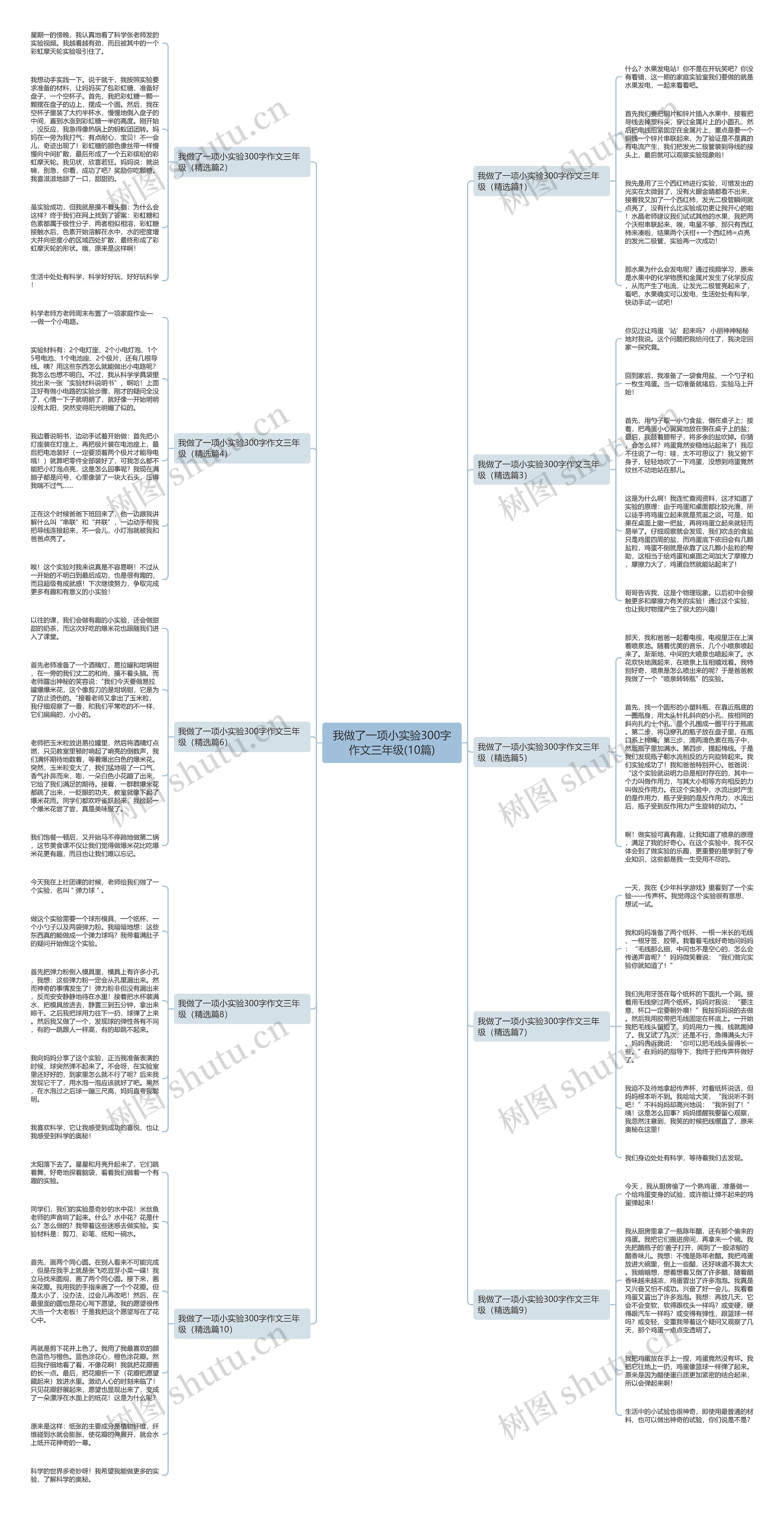 我做了一项小实验300字作文三年级(10篇)思维导图