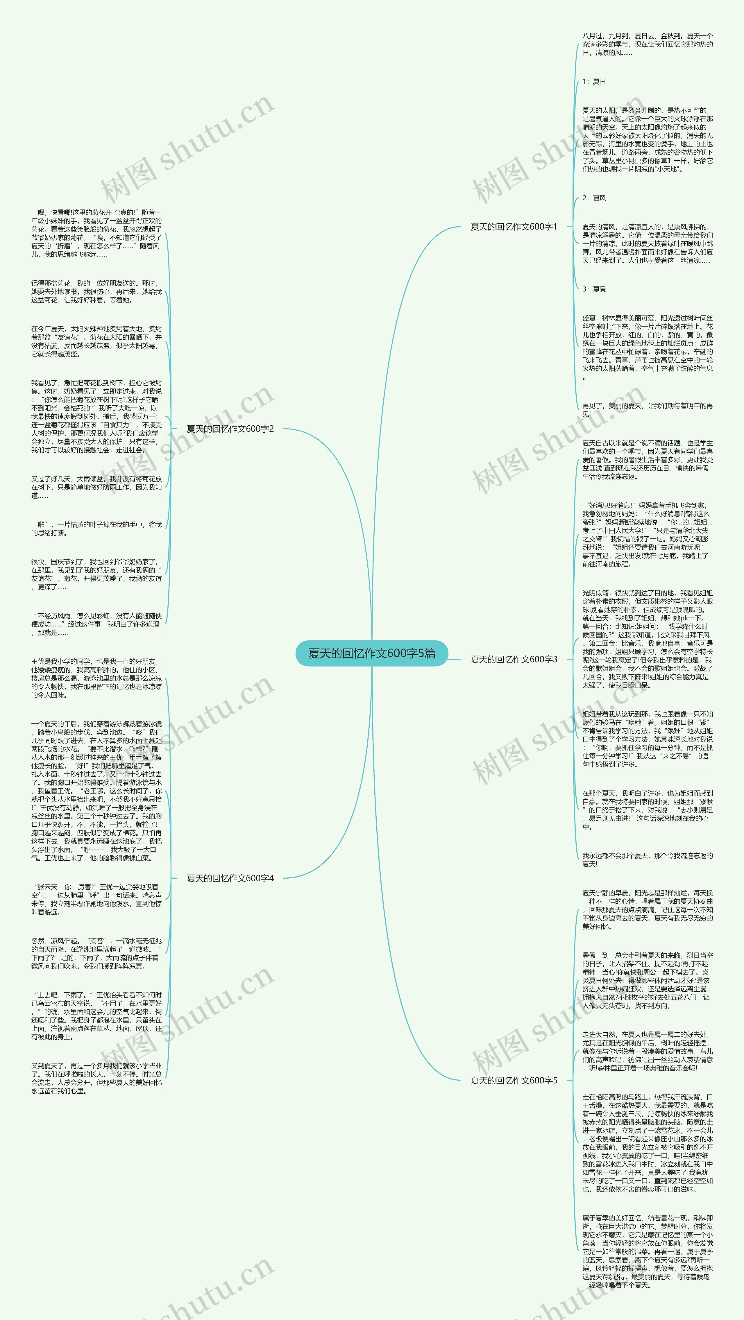 夏天的回忆作文600字5篇思维导图