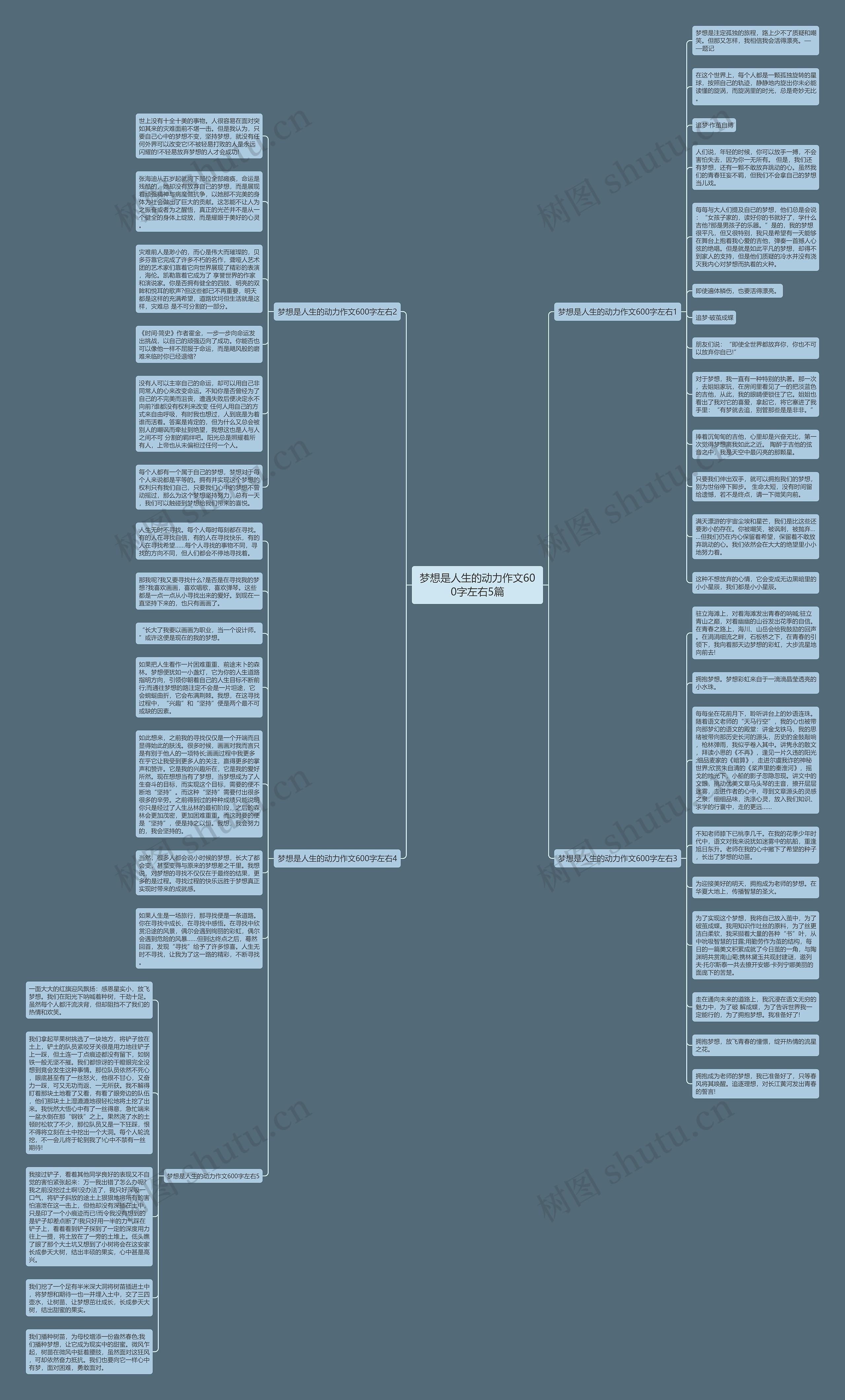 梦想是人生的动力作文600字左右5篇思维导图