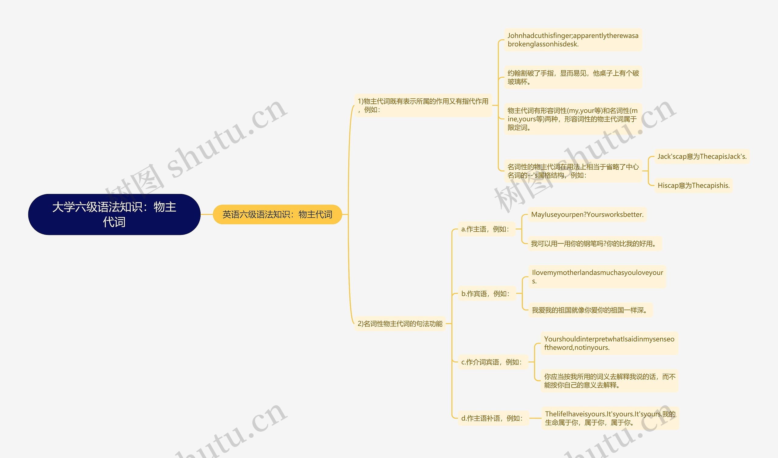 大学六级语法知识：物主代词