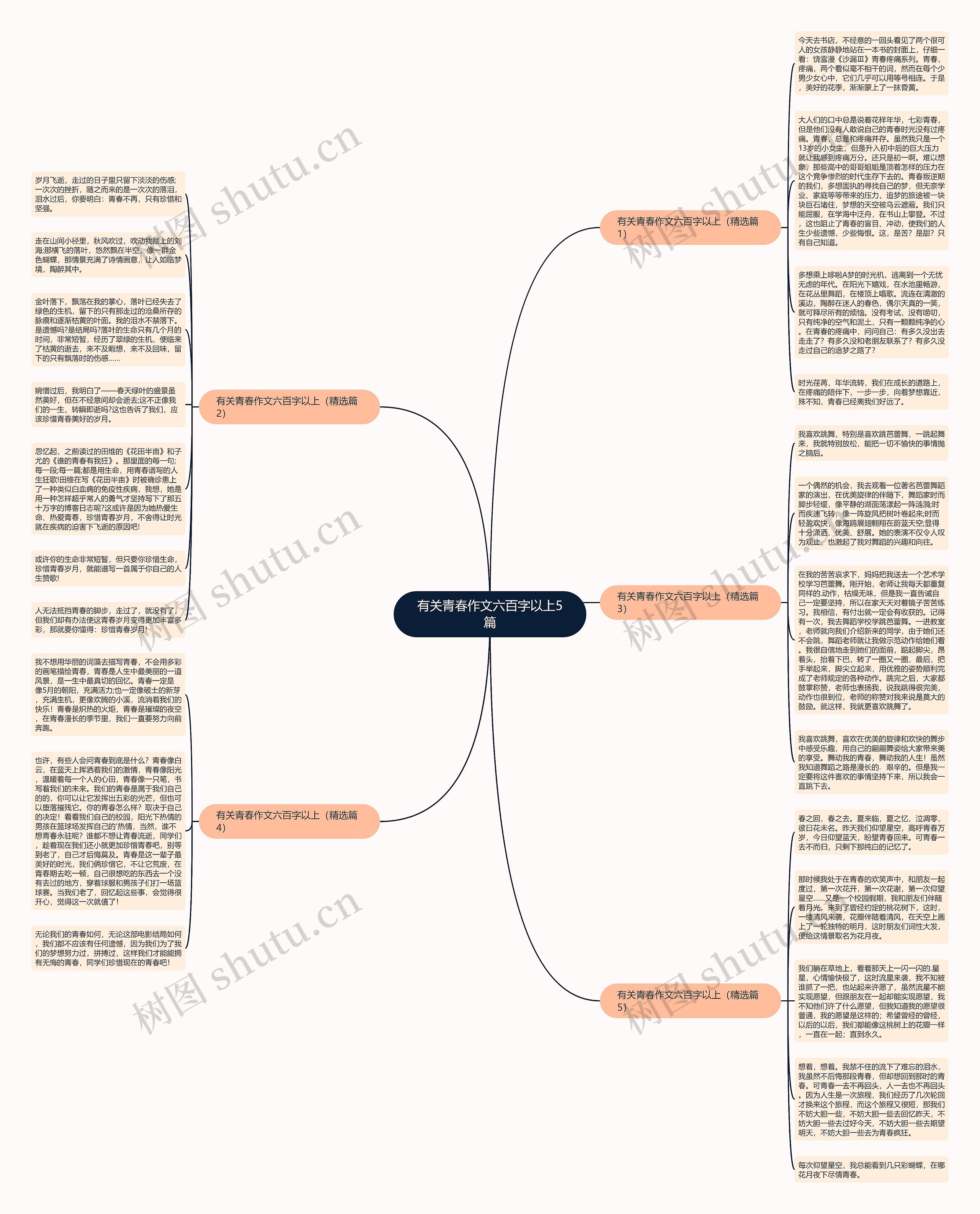 有关青春作文六百字以上5篇思维导图