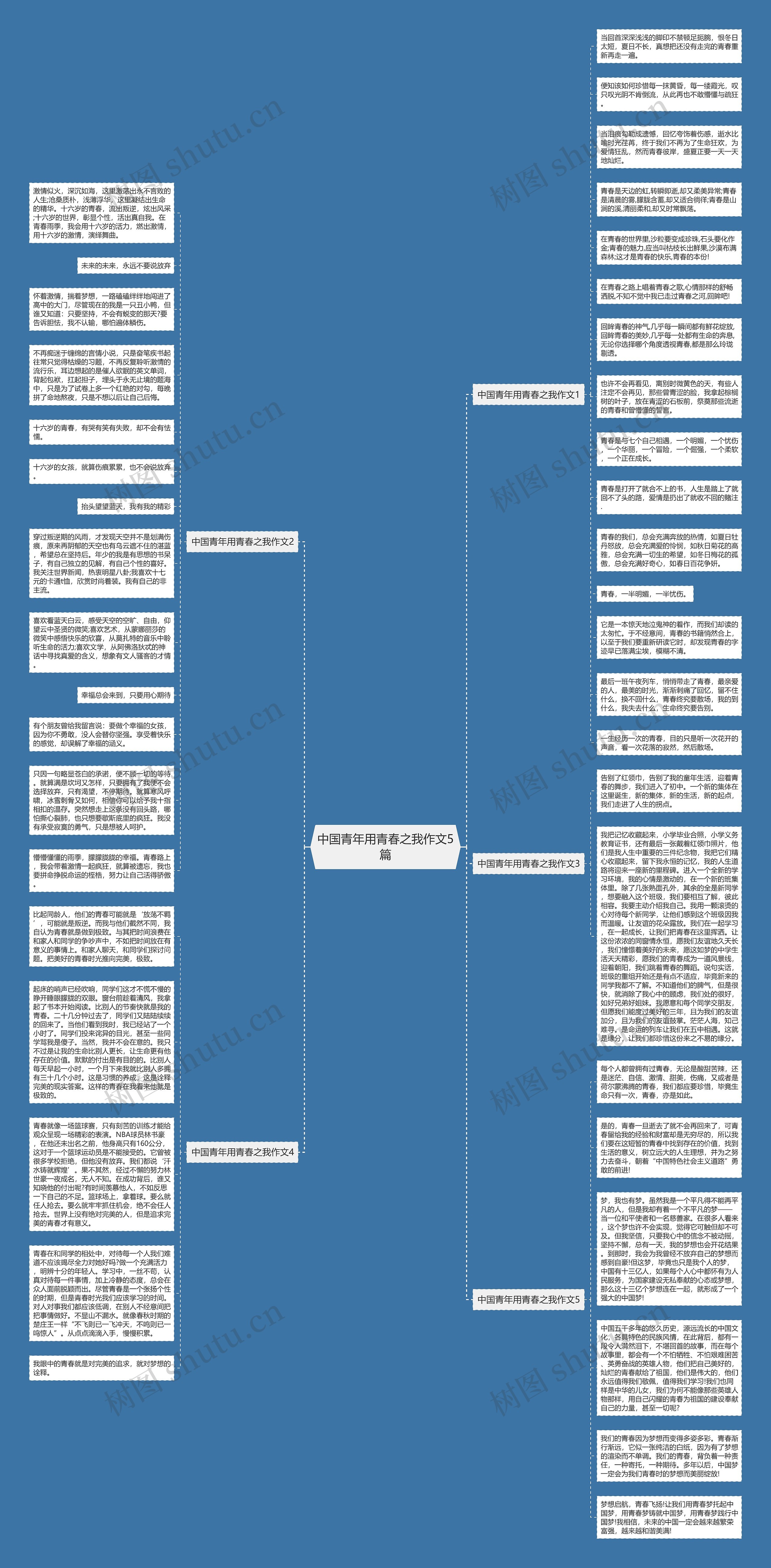 中国青年用青春之我作文5篇思维导图