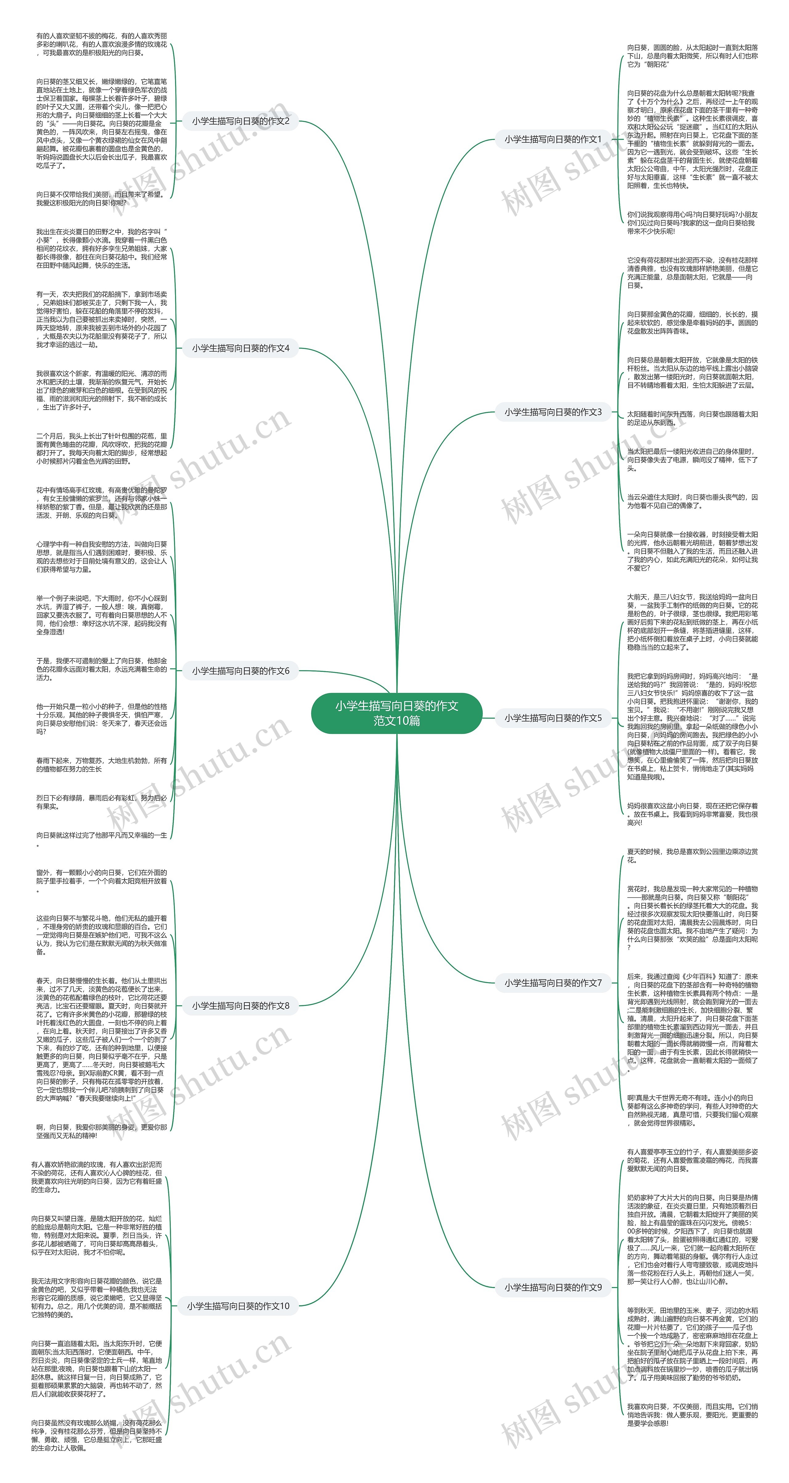 小学生描写向日葵的作文范文10篇思维导图