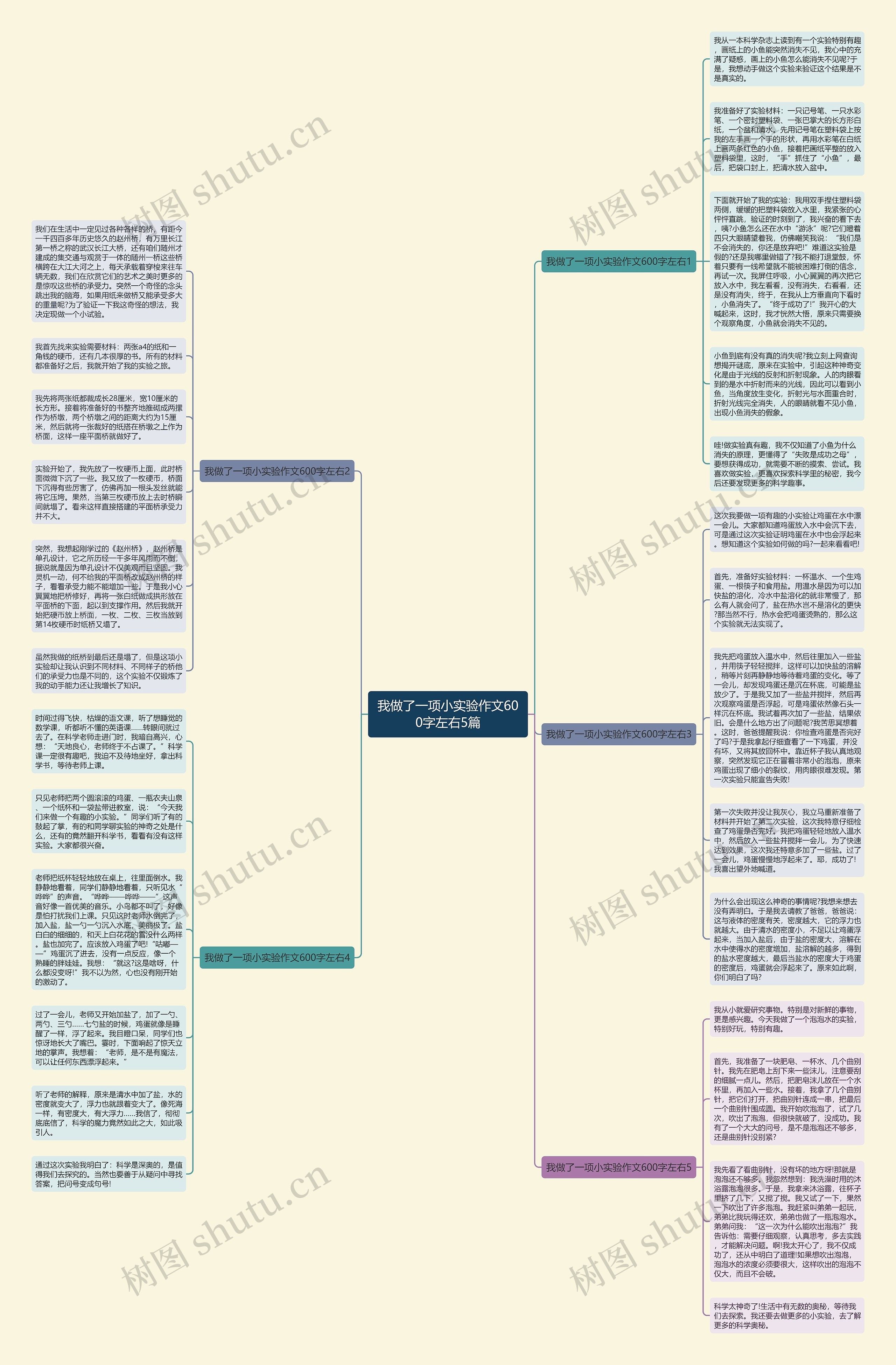 我做了一项小实验作文600字左右5篇思维导图