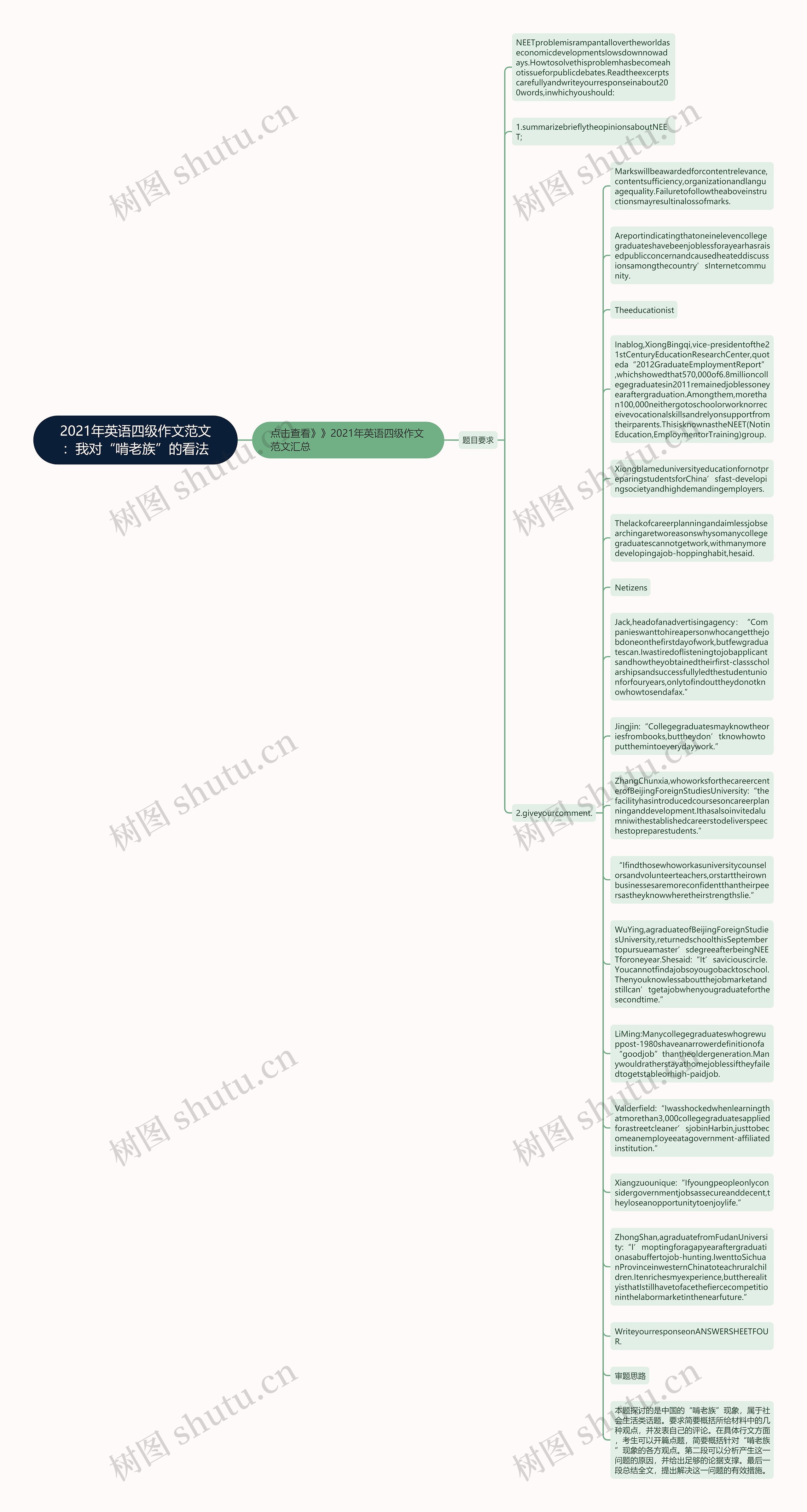 2021年英语四级作文范文：我对“啃老族”的看法思维导图