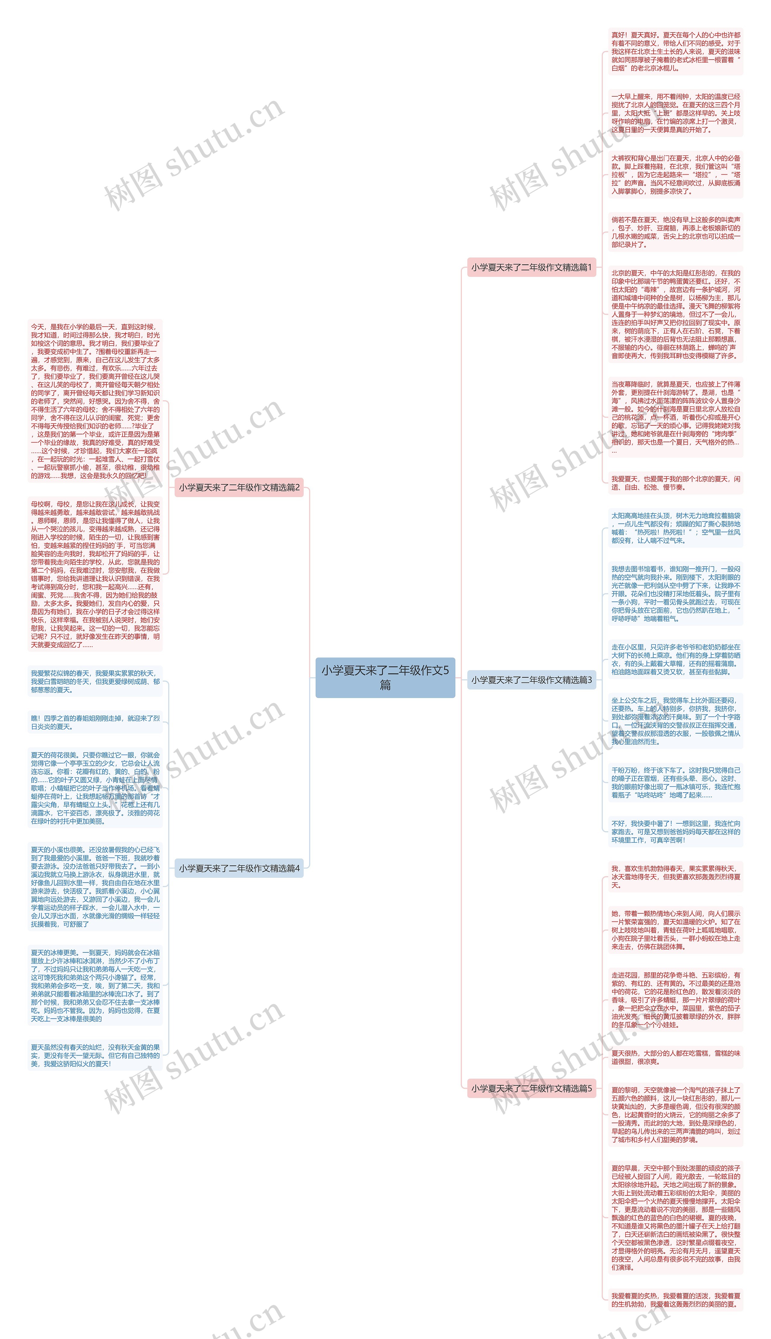 小学夏天来了二年级作文5篇思维导图