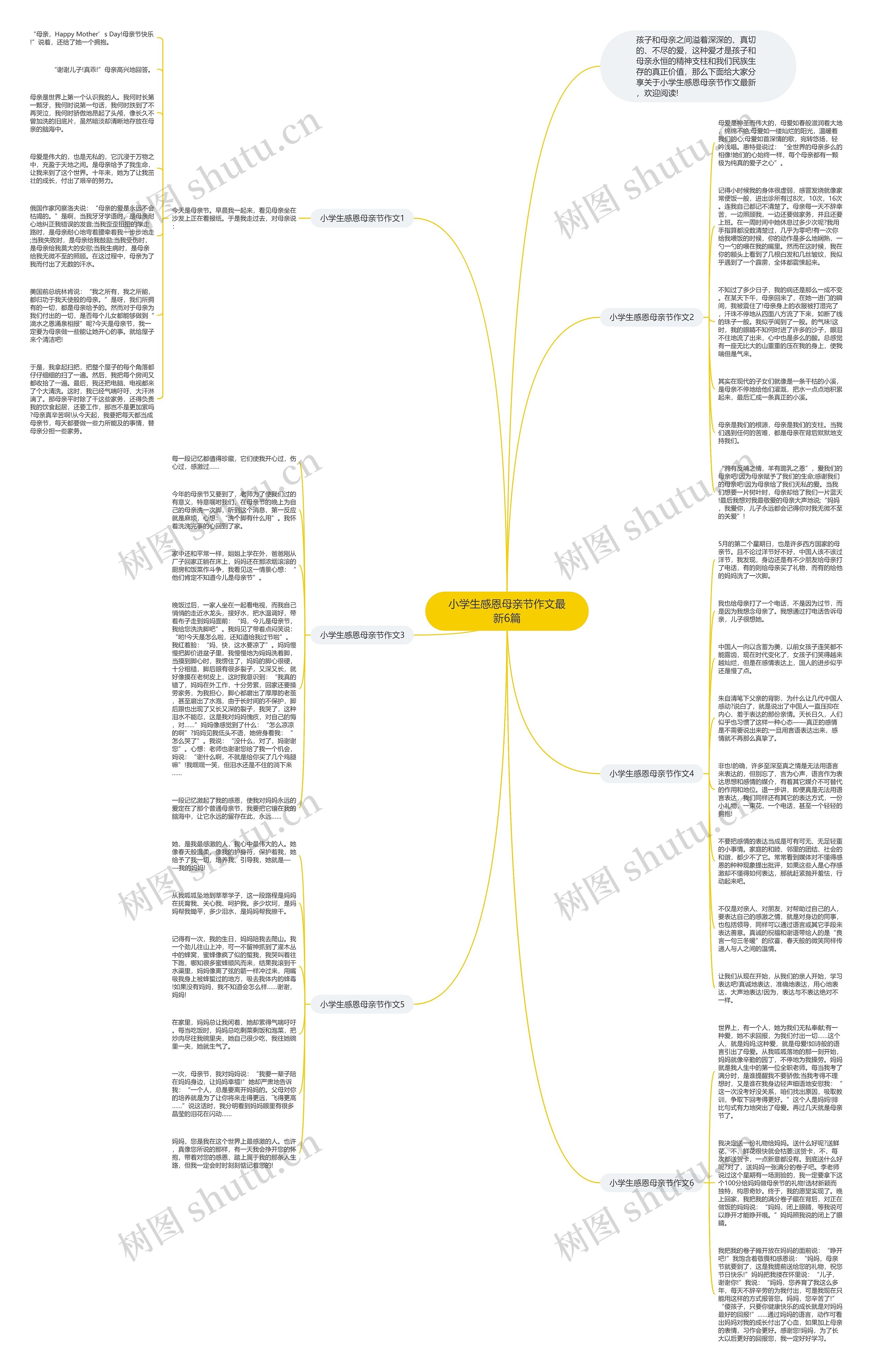 小学生感恩母亲节作文最新6篇思维导图