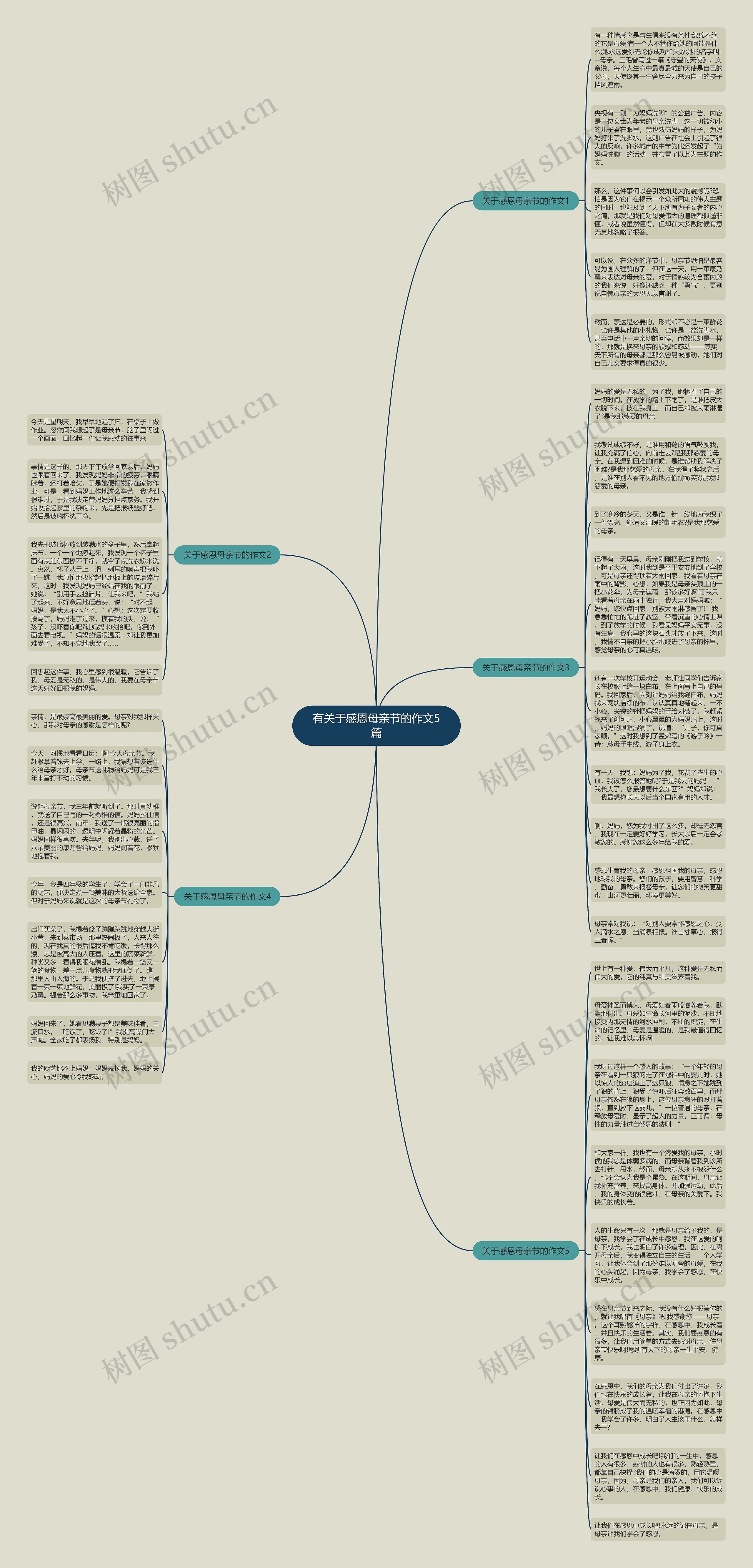 有关于感恩母亲节的作文5篇思维导图