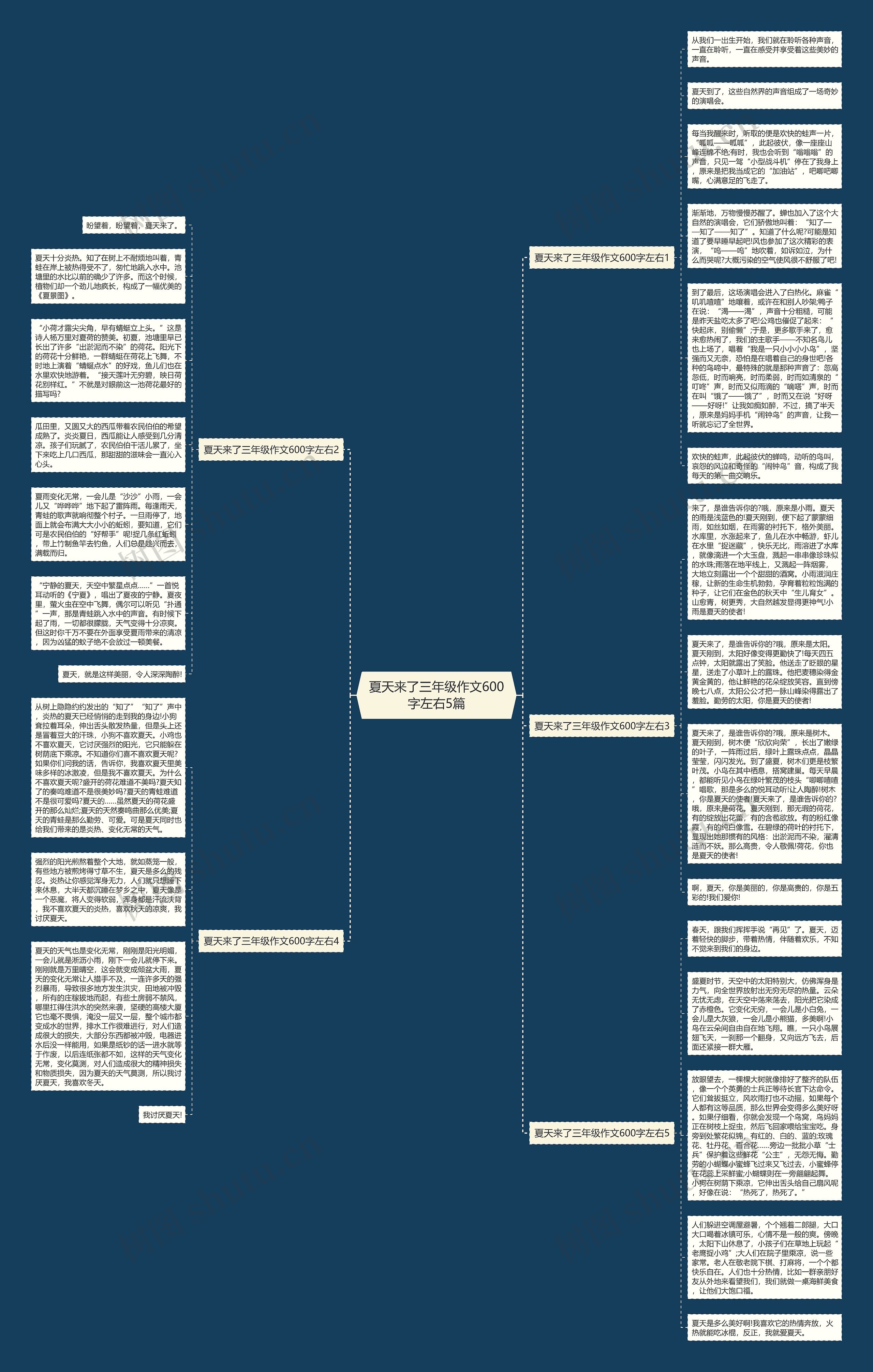 夏天来了三年级作文600字左右5篇思维导图