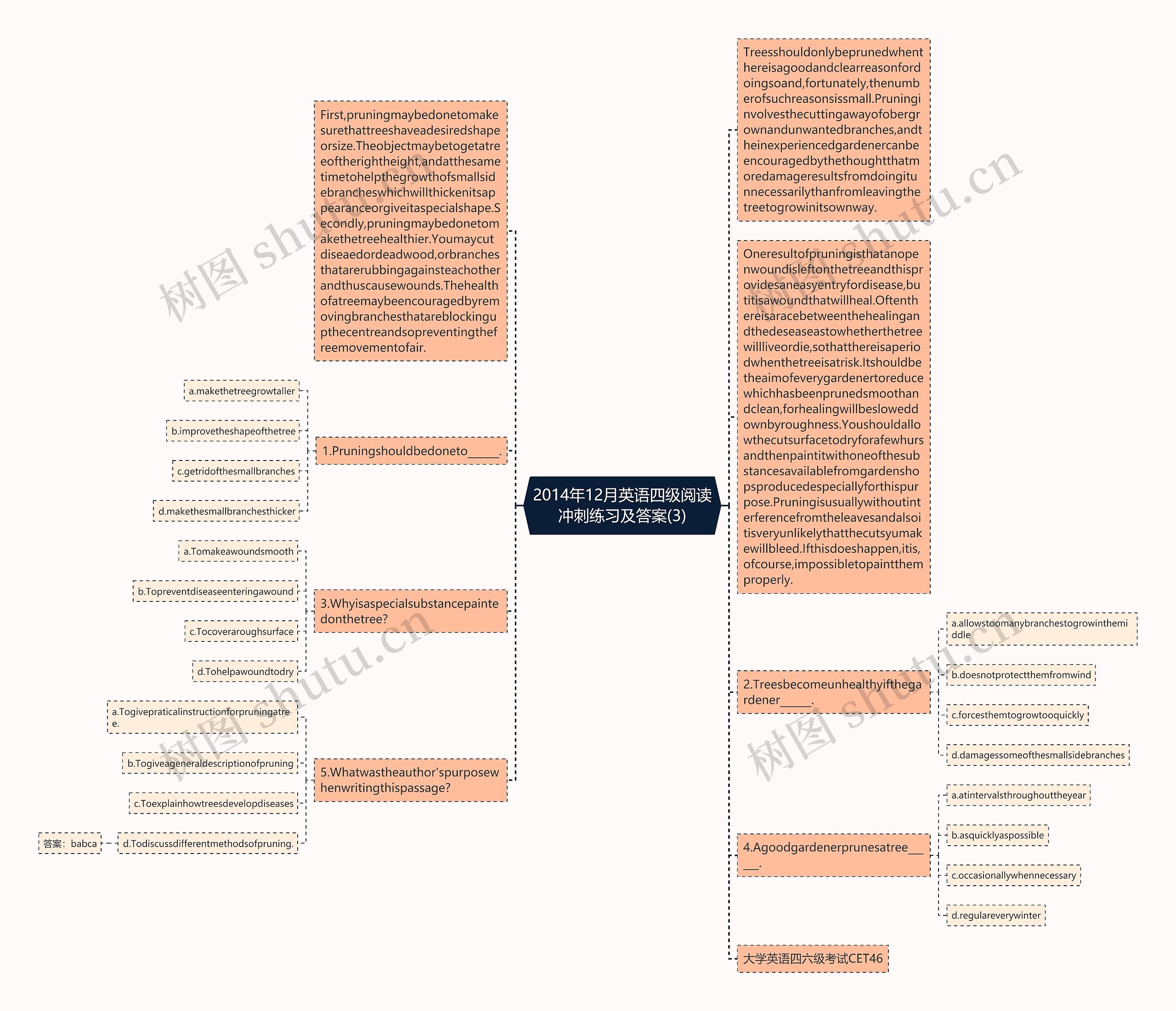2014年12月英语四级阅读冲刺练习及答案(3)思维导图