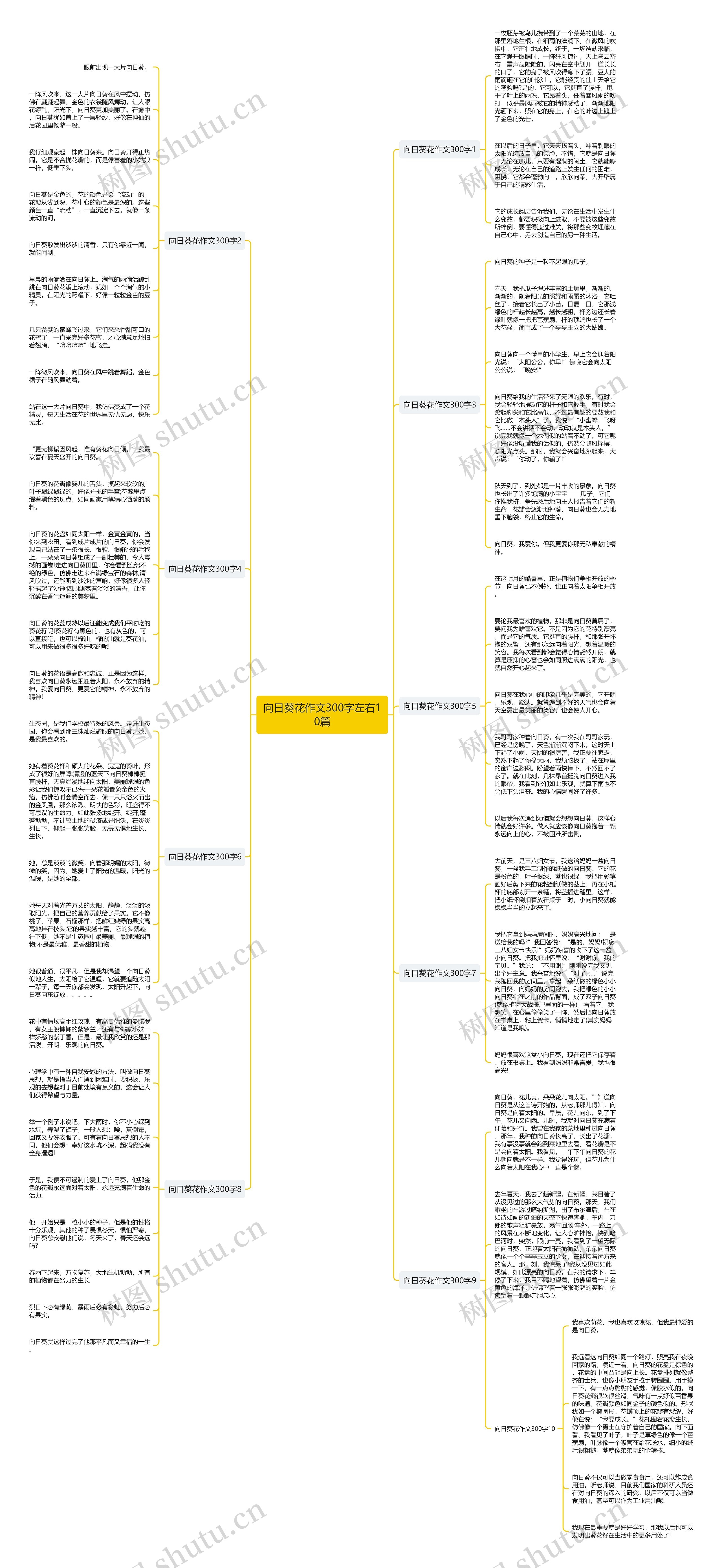 向日葵花作文300字左右10篇思维导图