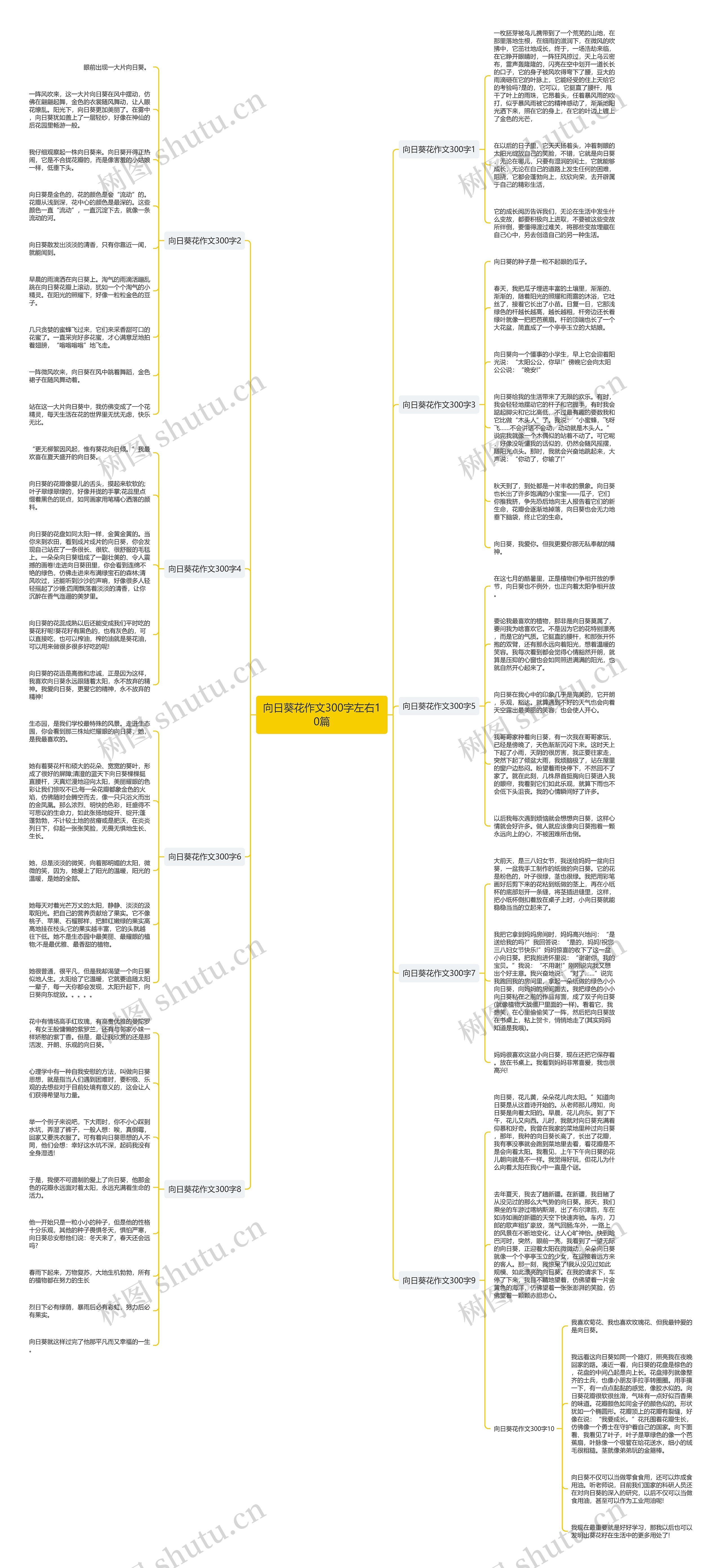 向日葵花作文300字左右10篇 向日葵花作文300字左右10篇