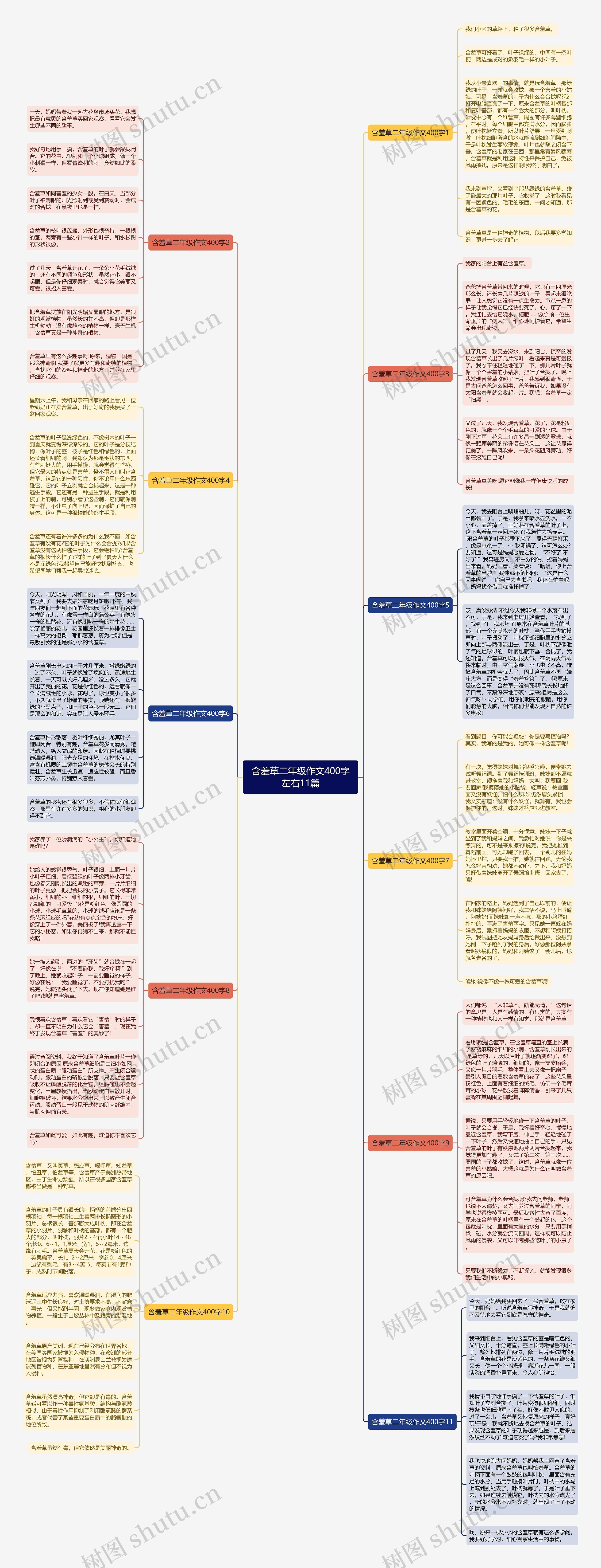 含羞草二年级作文400字左右11篇思维导图