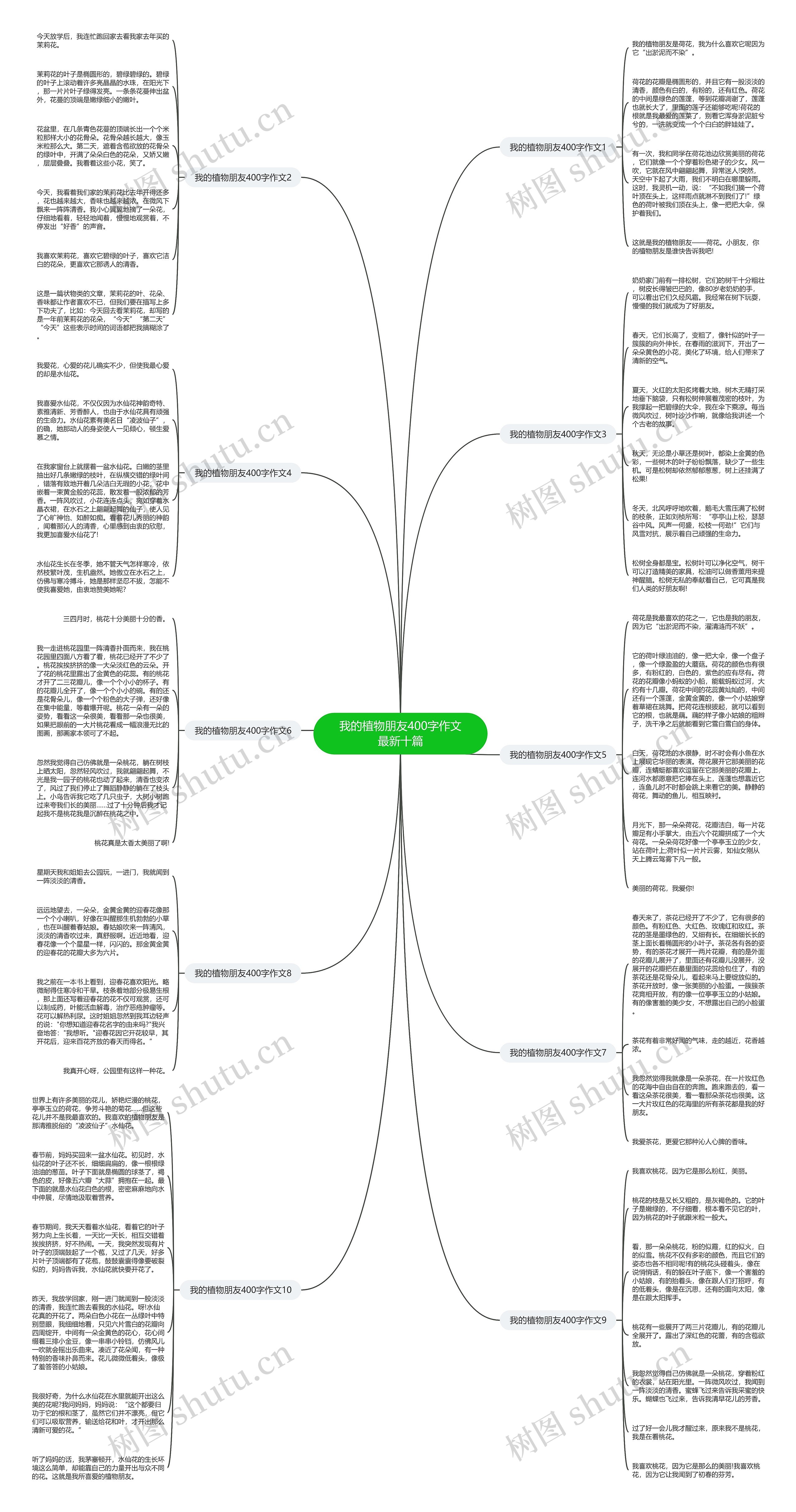 我的植物朋友400字作文最新十篇思维导图