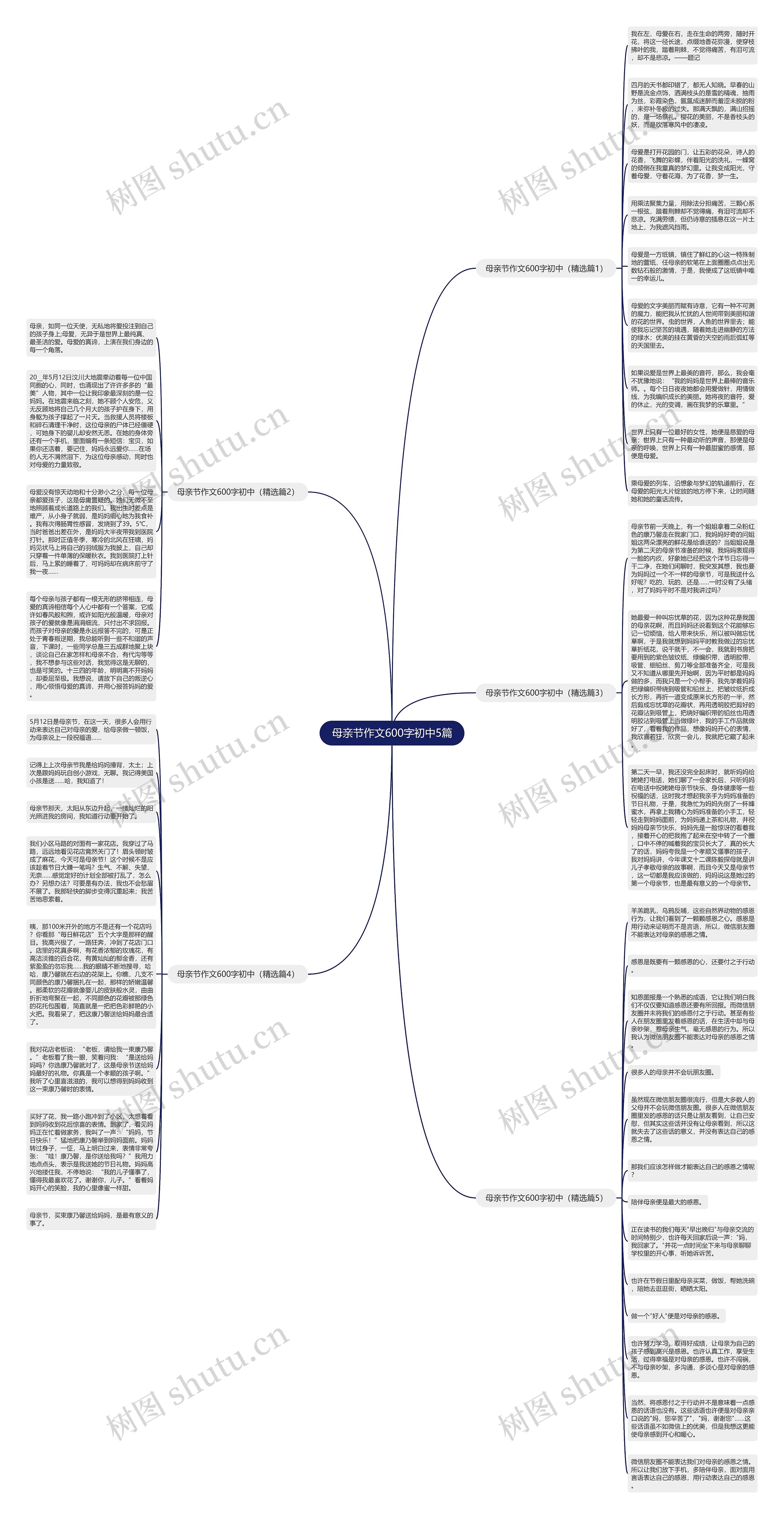 母亲节作文600字初中5篇思维导图