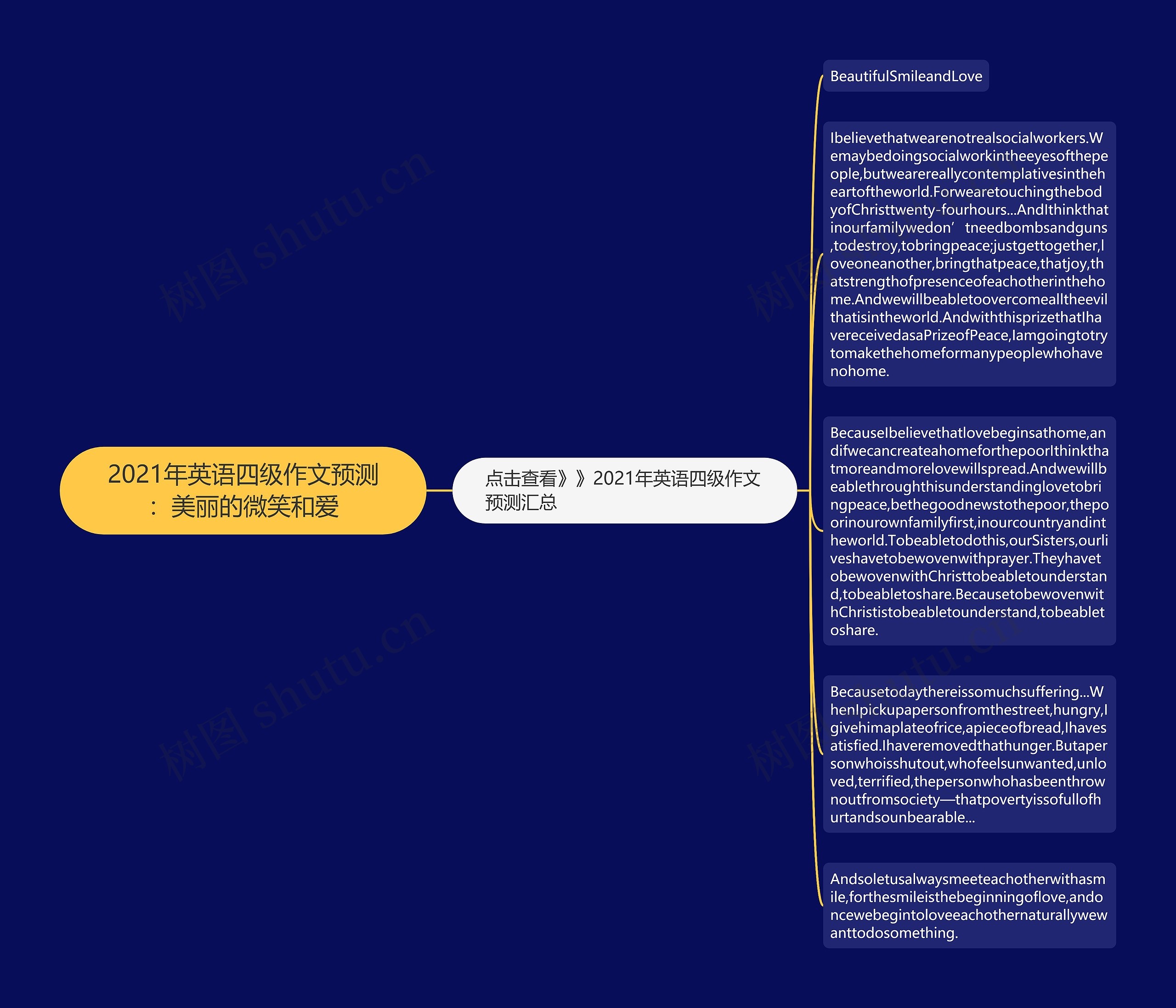 2021年英语四级作文预测：美丽的微笑和爱