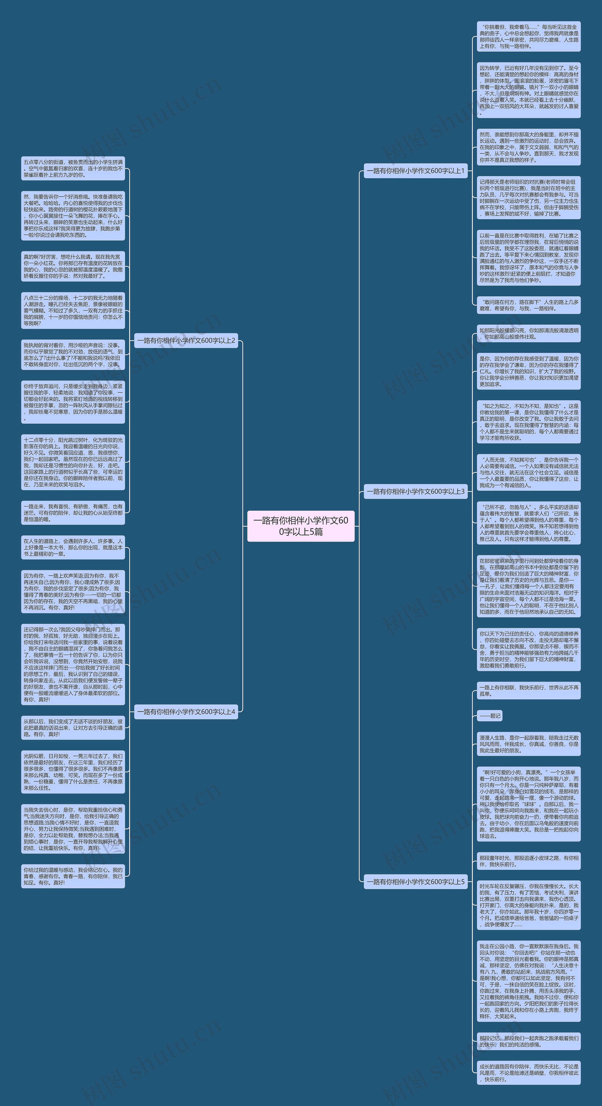 一路有你相伴小学作文600字以上5篇思维导图