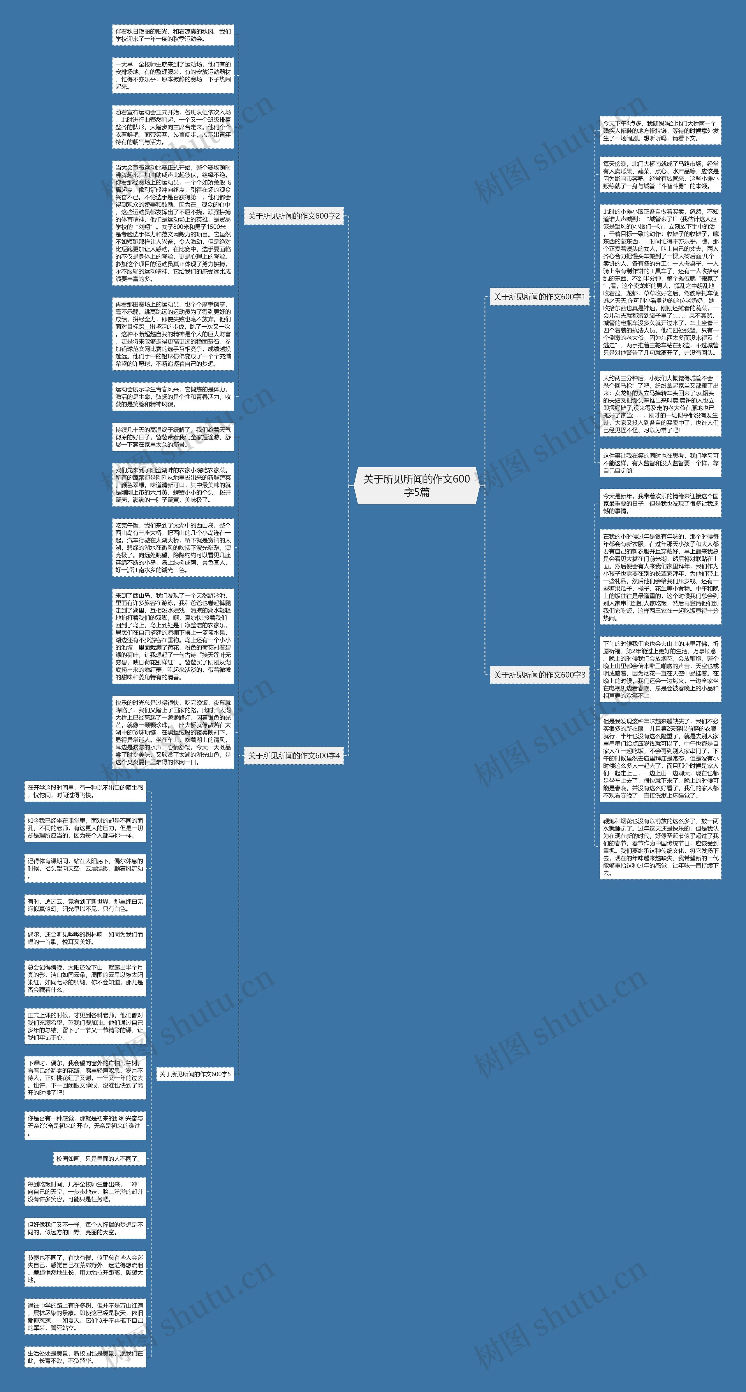 关于所见所闻的作文600字5篇