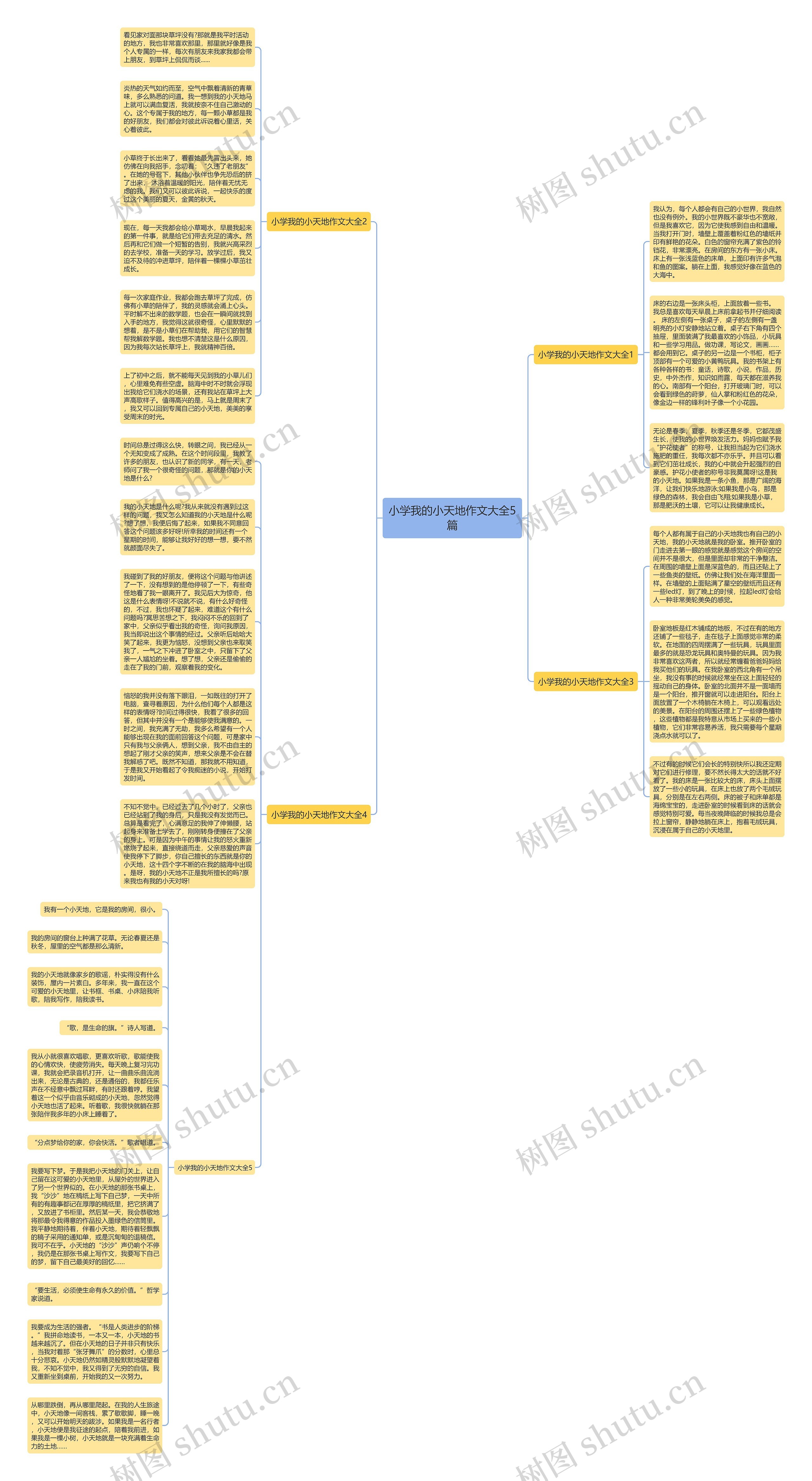 小学我的小天地作文大全5篇思维导图