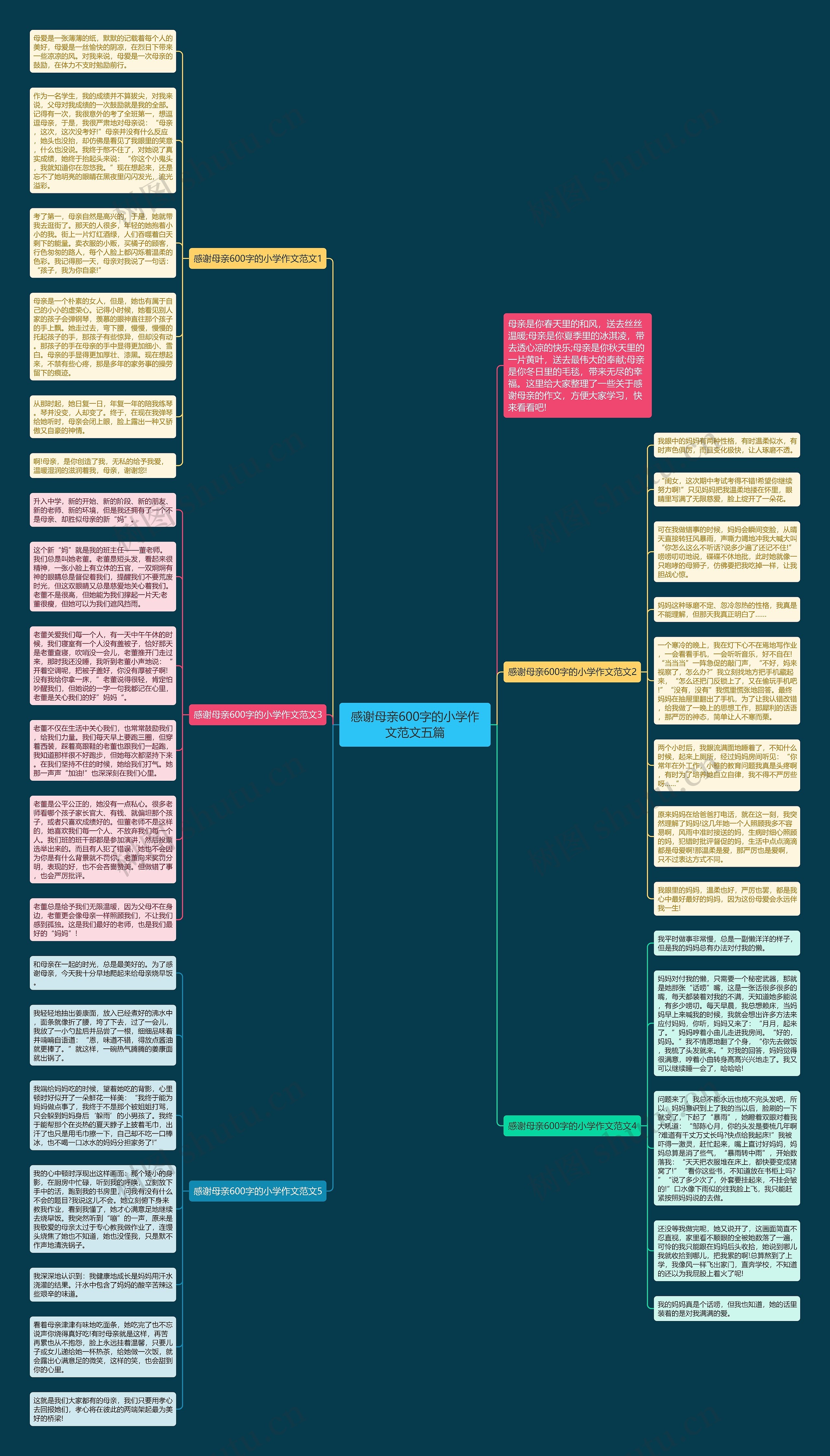 感谢母亲600字的小学作文范文五篇思维导图
