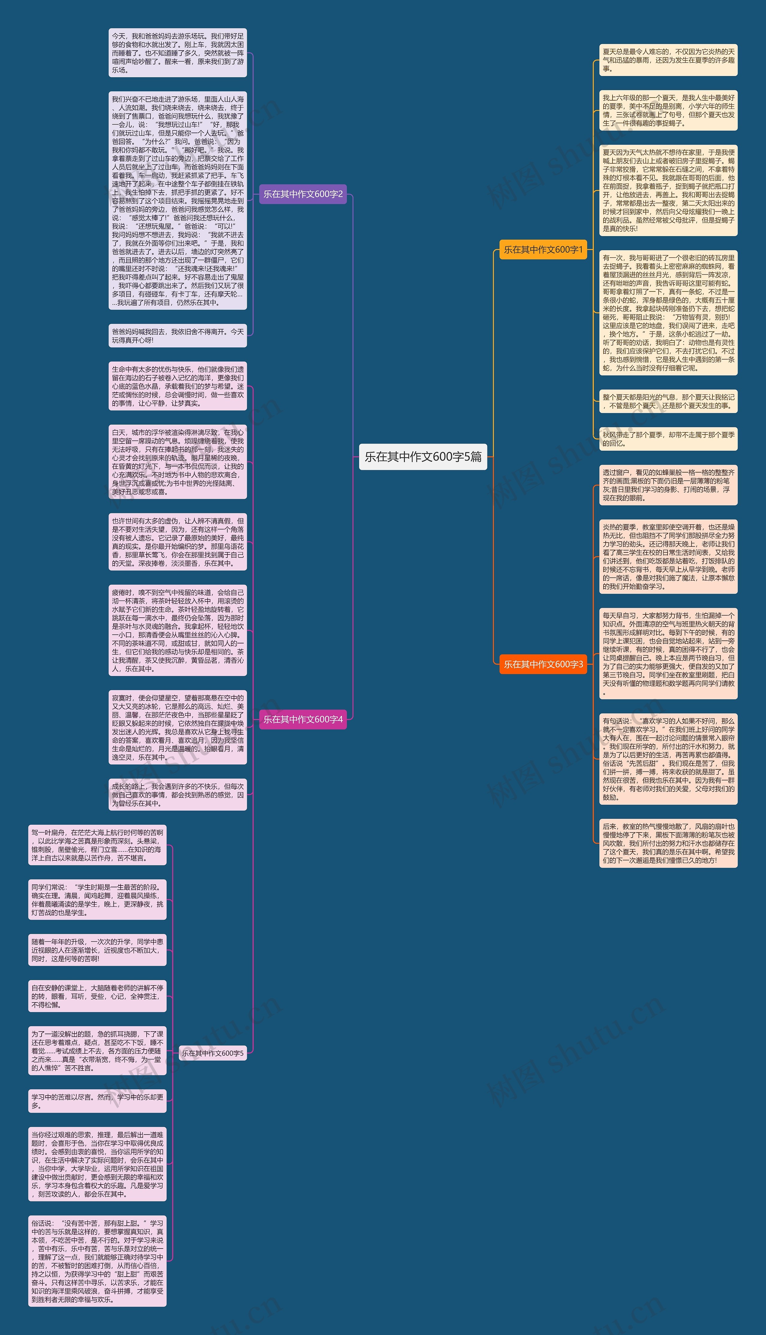 乐在其中作文600字5篇思维导图