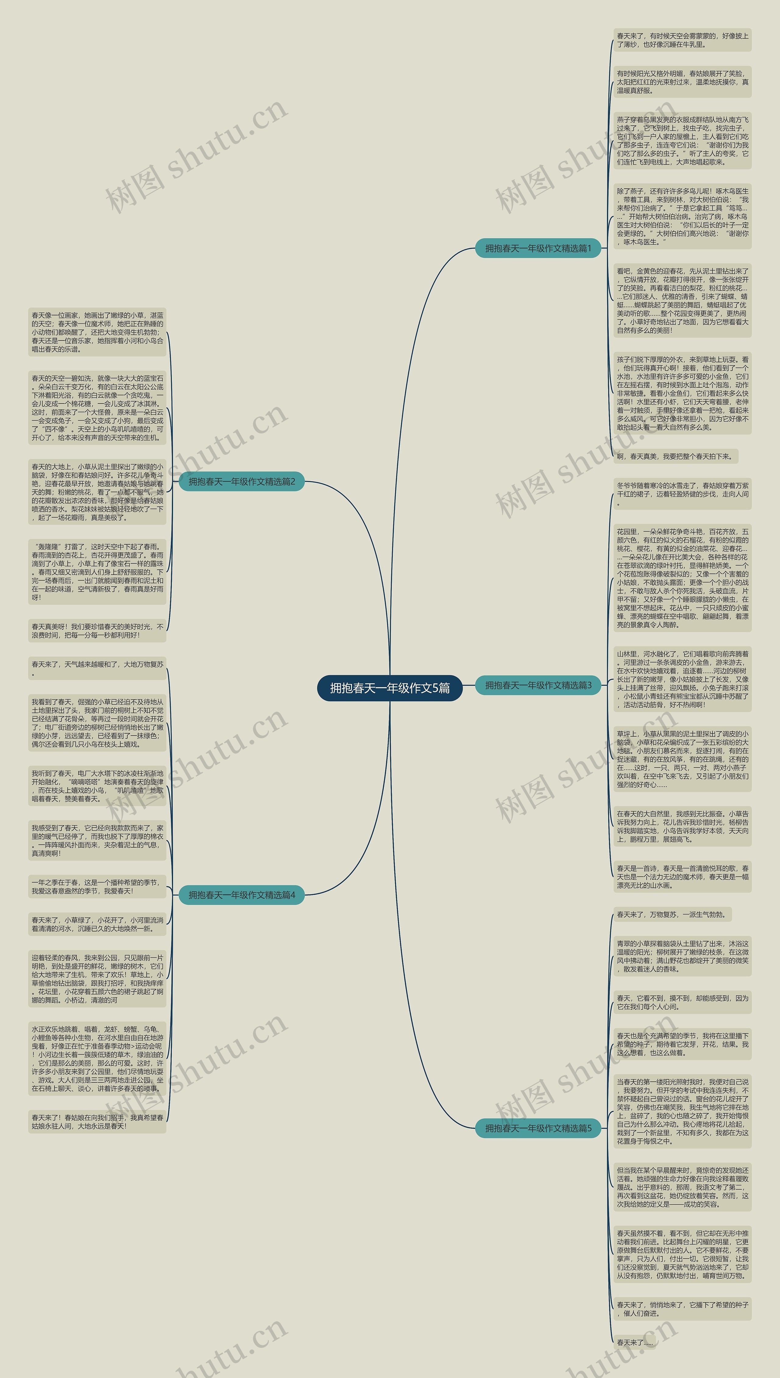 拥抱春天一年级作文5篇思维导图