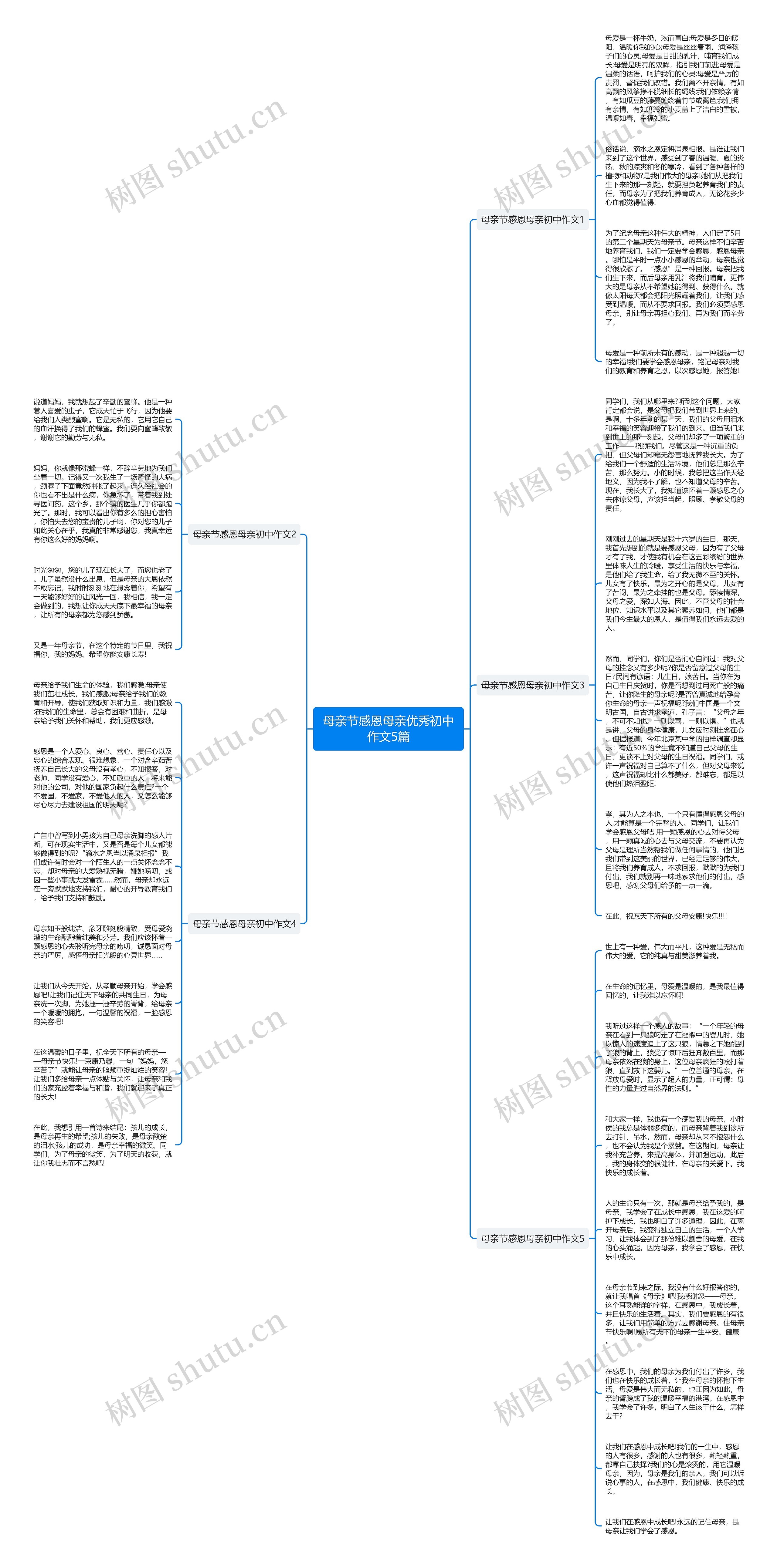 母亲节感恩母亲优秀初中作文5篇思维导图