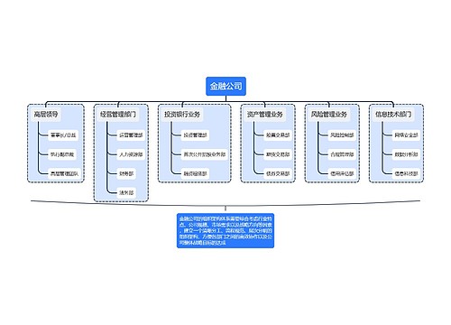 金融公司的组织架构图