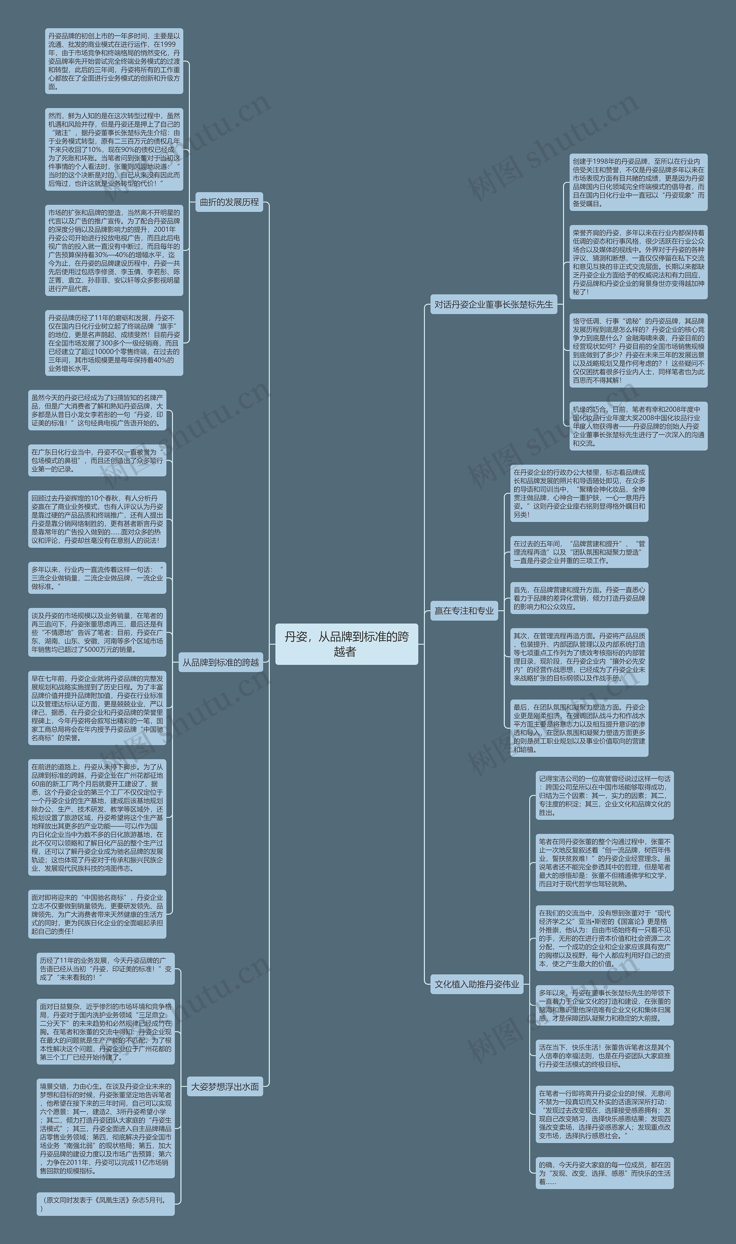 丹姿，从品牌到标准的跨越者 思维导图