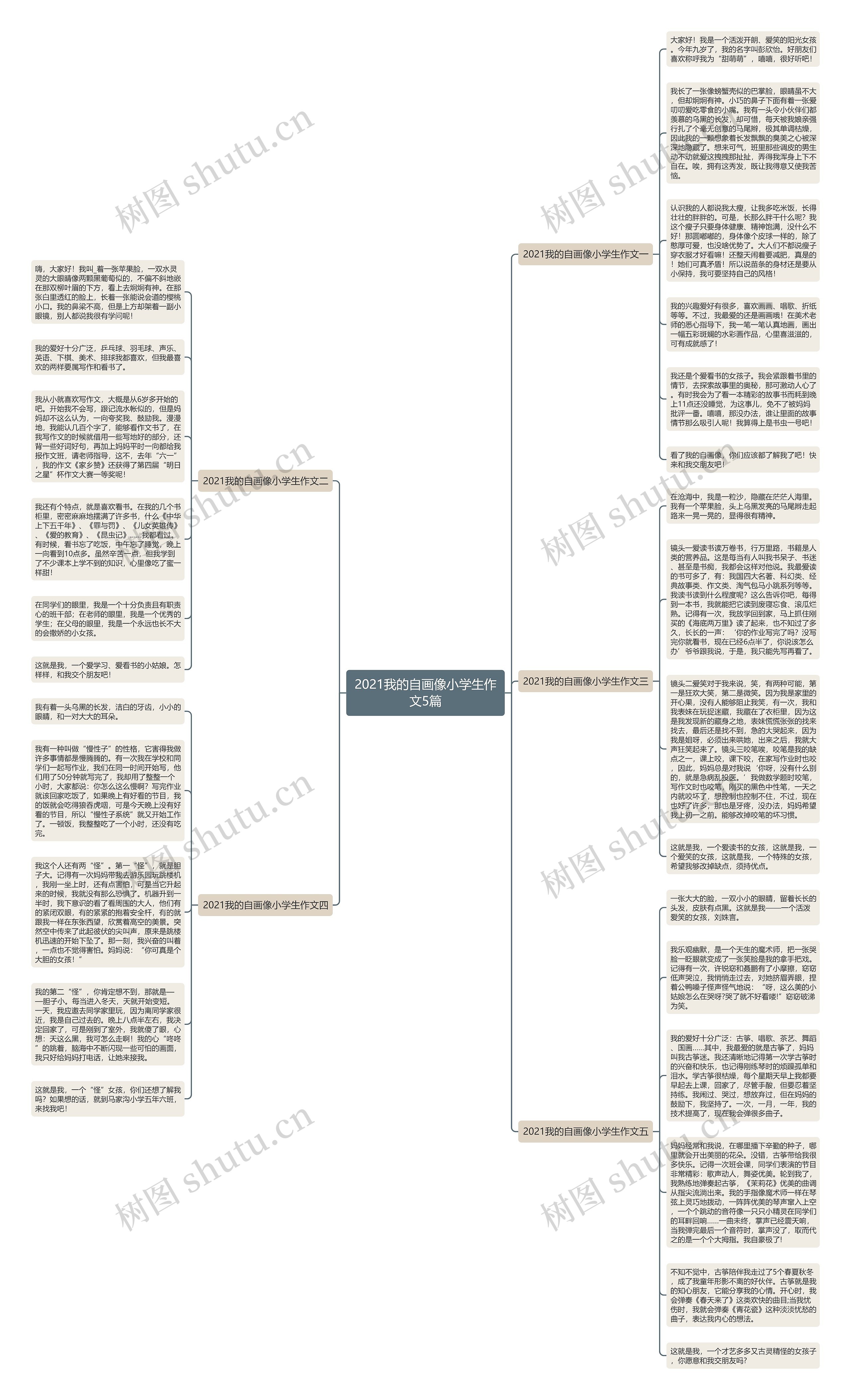 2021我的自画像小学生作文5篇思维导图