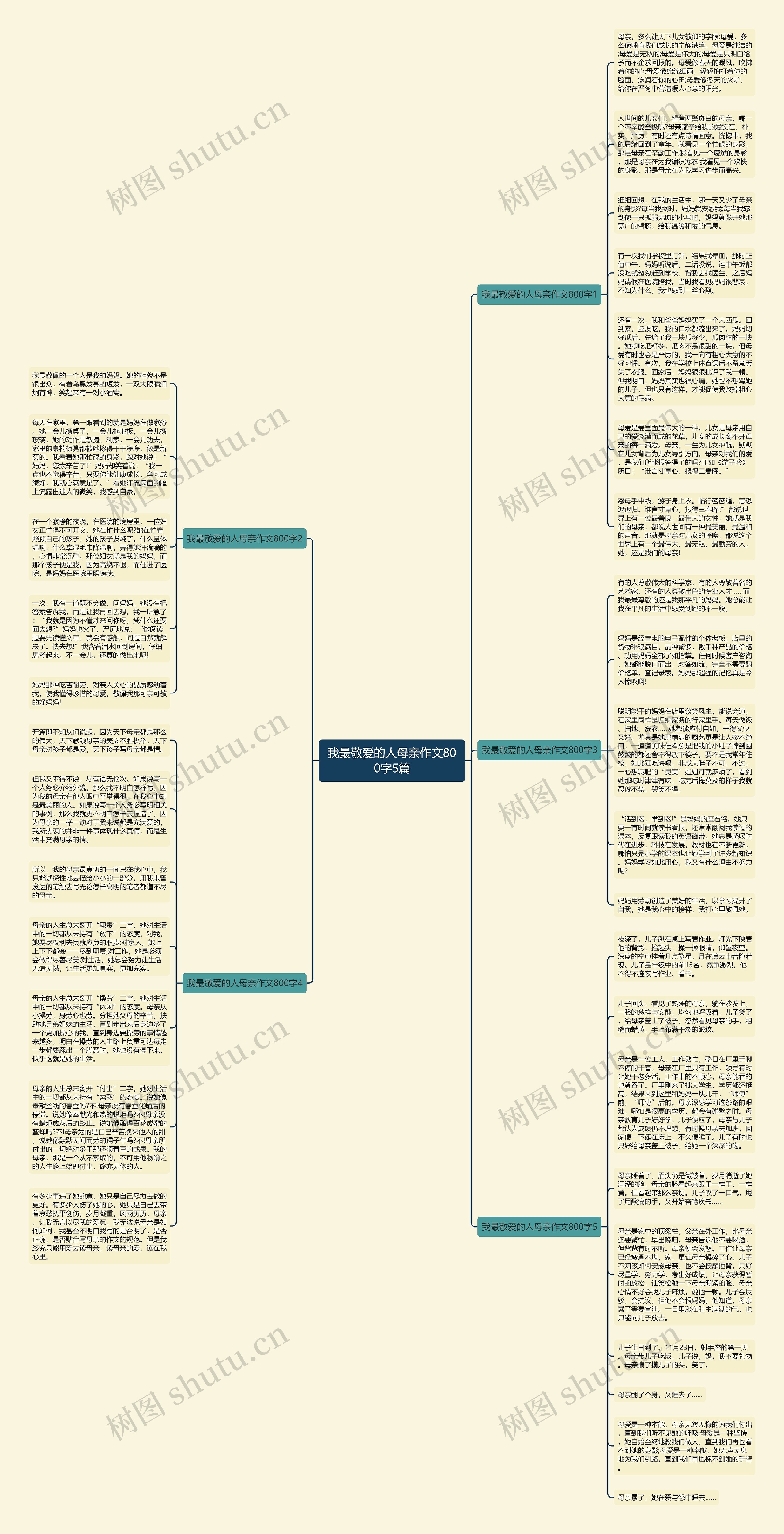 我最敬爱的人母亲作文800字5篇思维导图